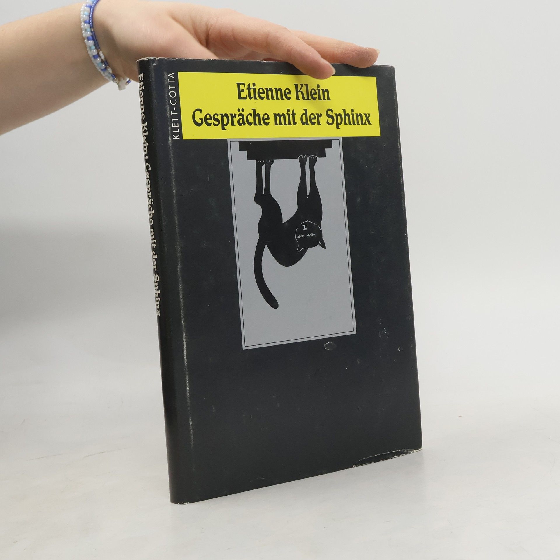 E. tienne Klein Gespräche mit der Sphinx