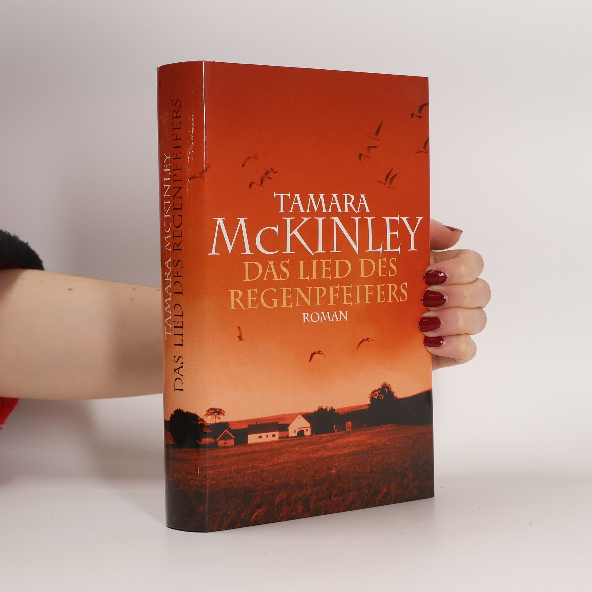 Das Lied des Regenpfeifers