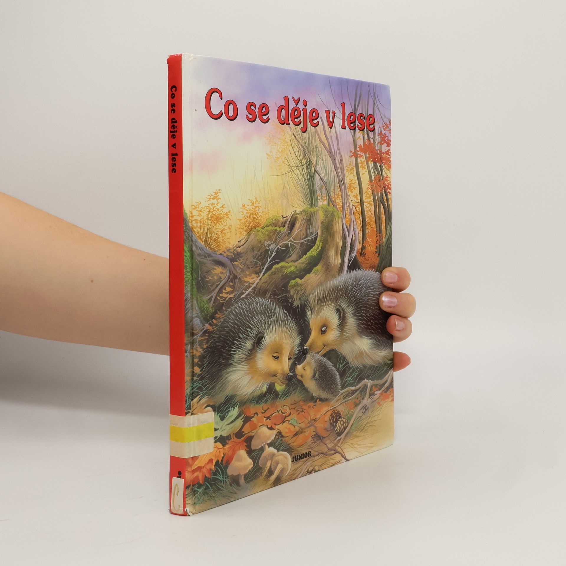 Dana Winkler Co se děje v lese