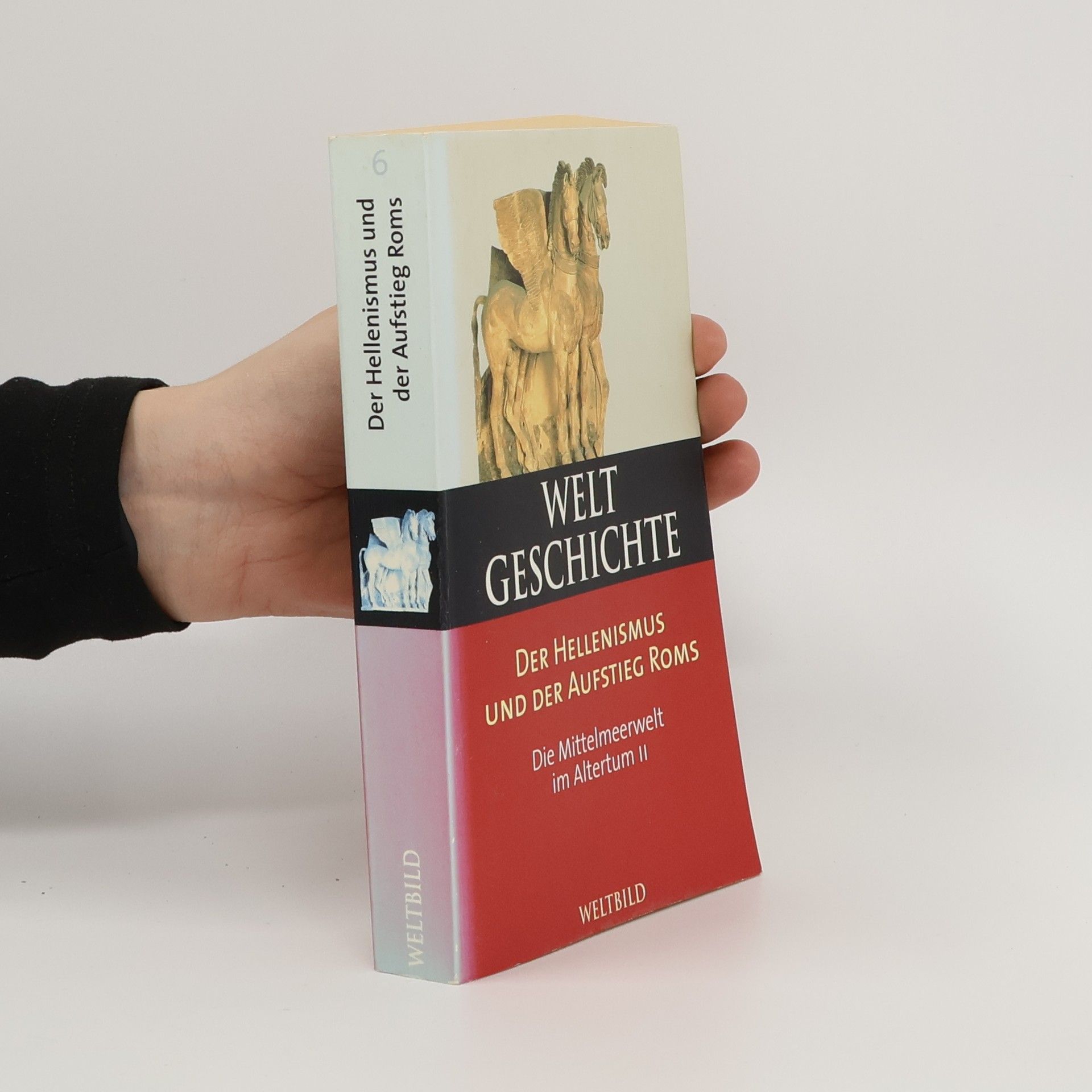 AA.VV. Weltgeschichte 6. Der Hellenismus und der Aufstieg Roms