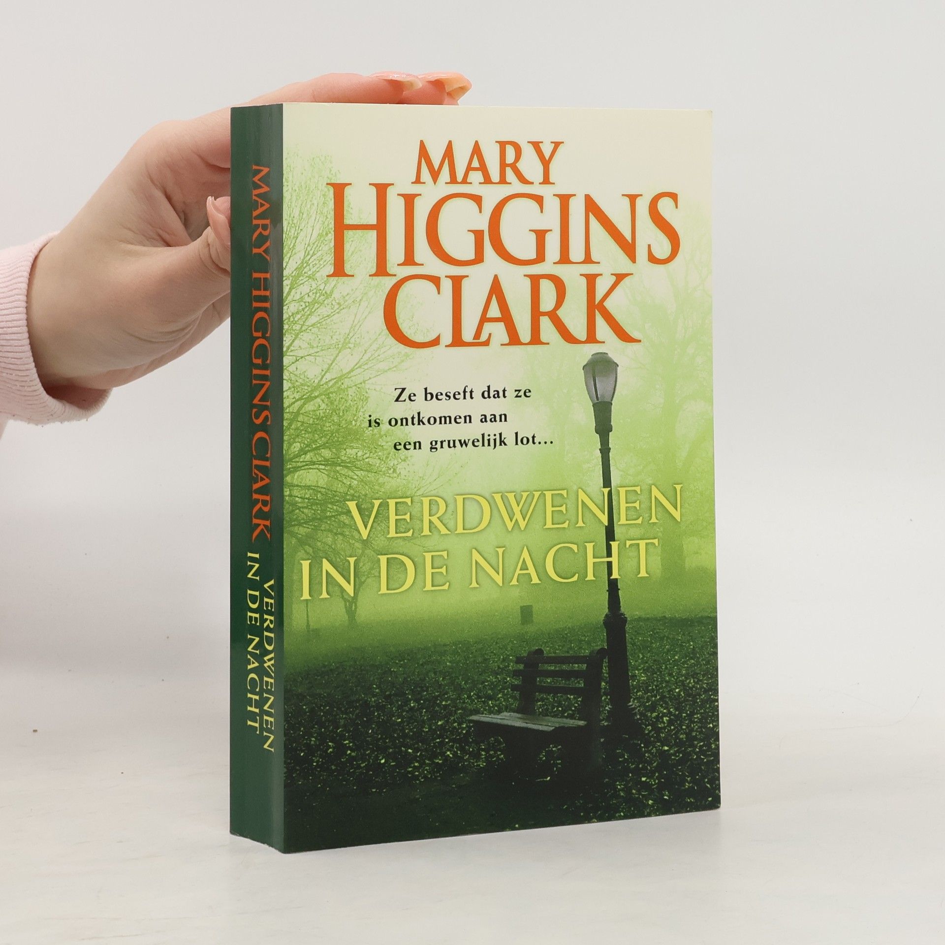 Mary Higgins Clark Verdwenen in de nacht