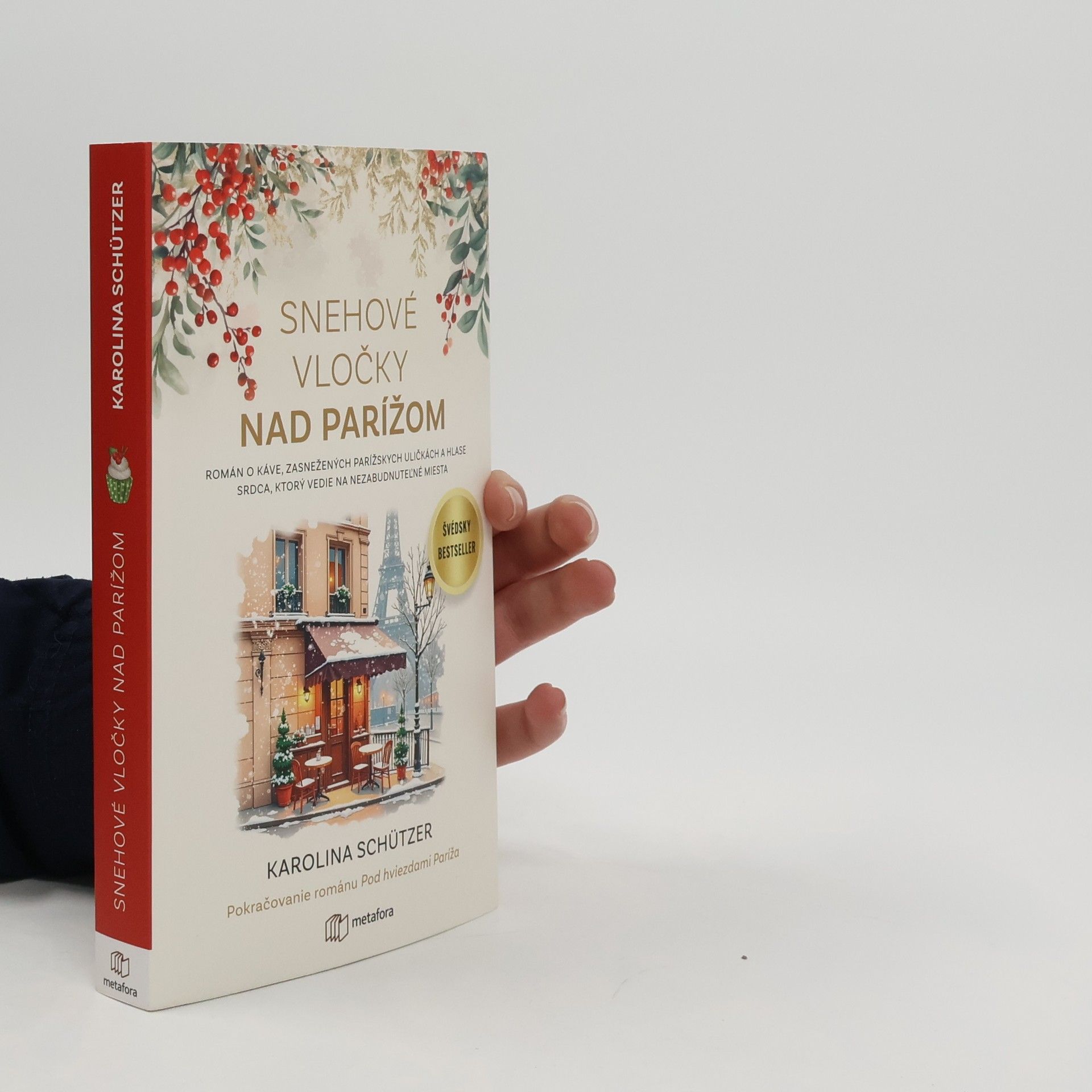 Snehové vločky nad Parížom