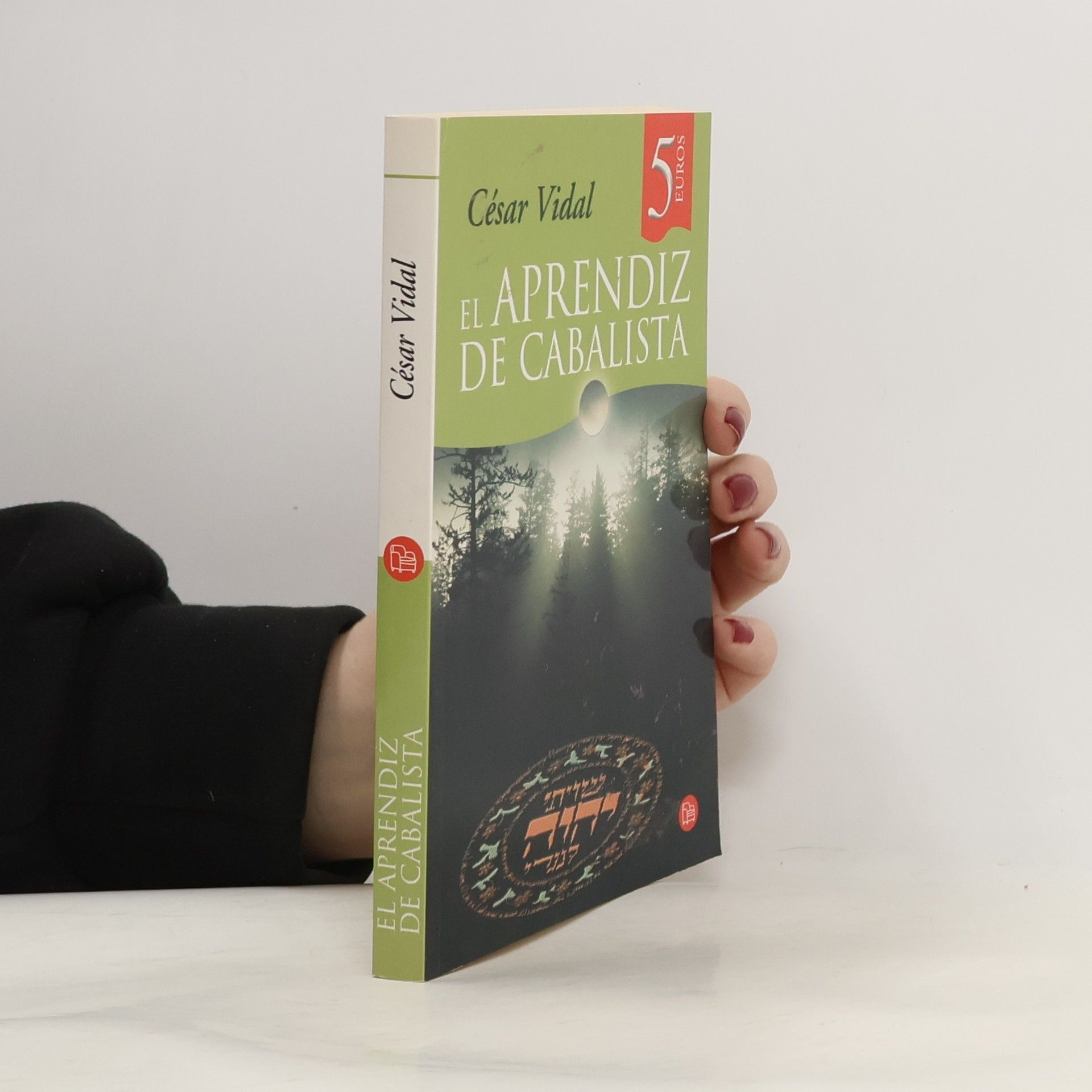 El aprendiz de cabalista CV 07