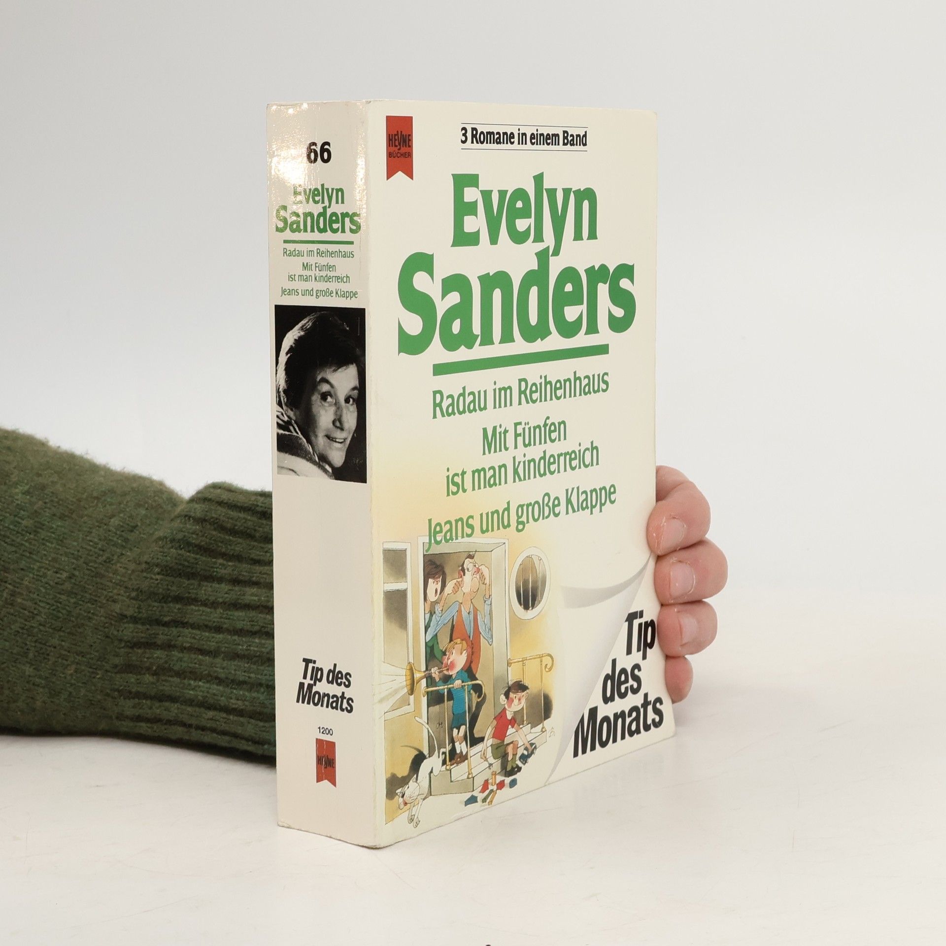 Evelyn Sanders Radau im Reihenhaus. Mit Fünfen ist man kinderreich. Jeans und große Klappe