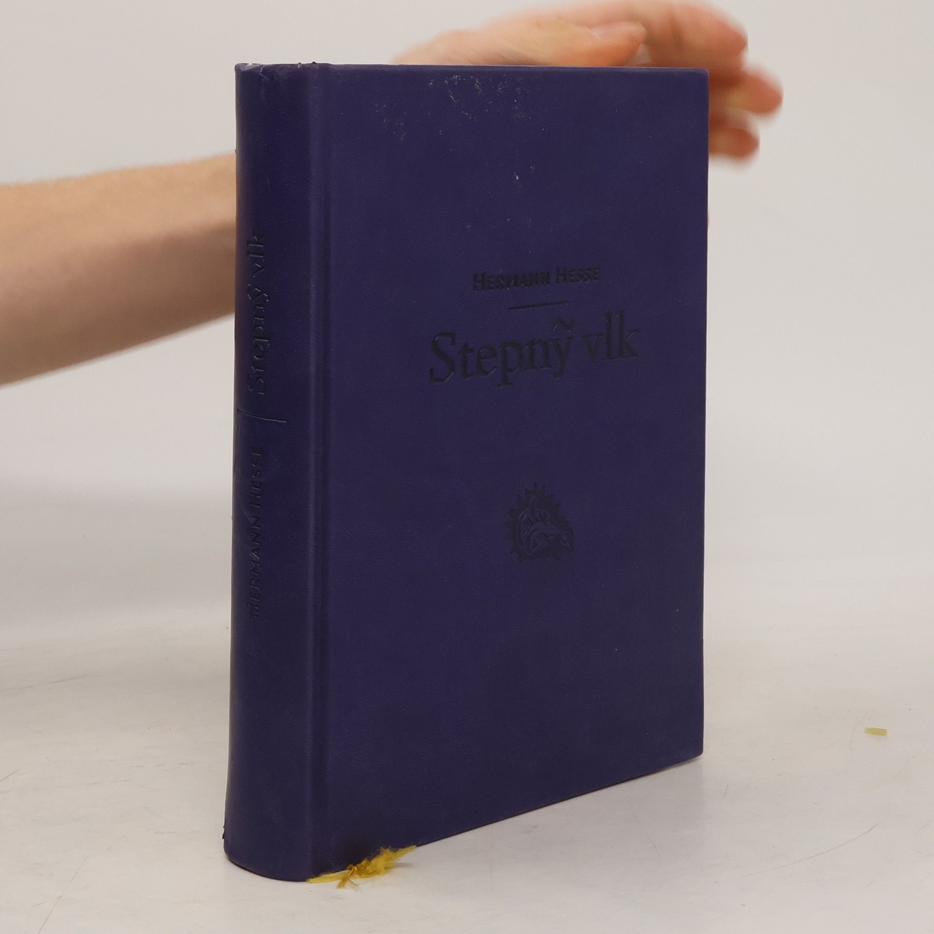 Hermann Hesse Stepný vlk