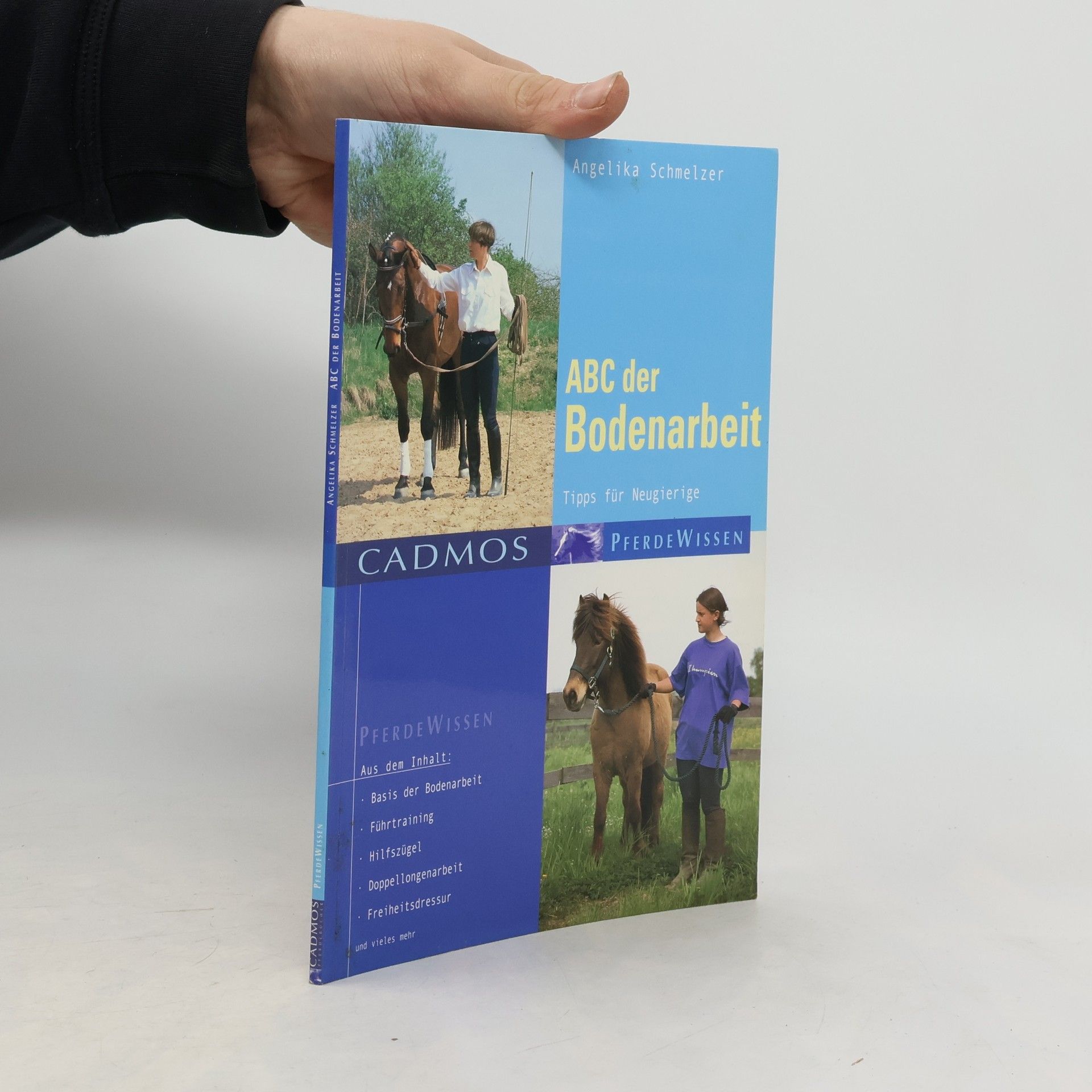 Angelika Schmelzer ABC der Bodenarbeit