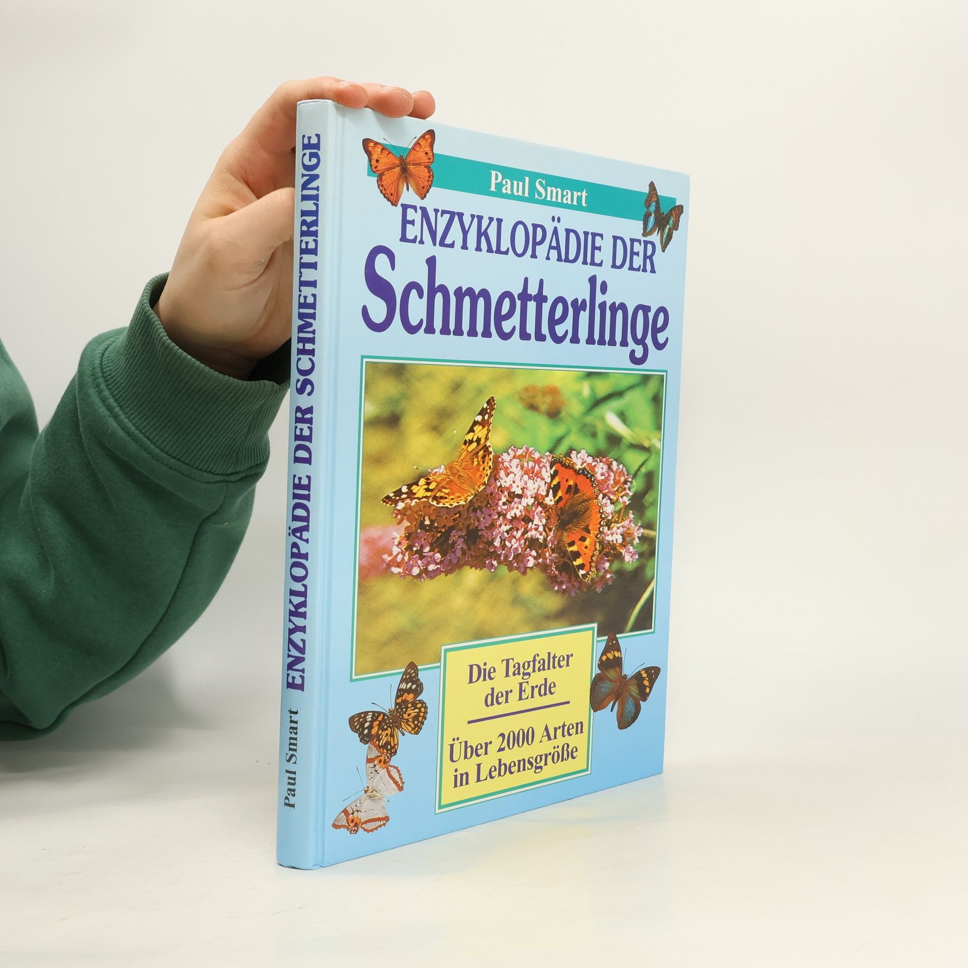 Enzyklopädie der Schmetterlinge