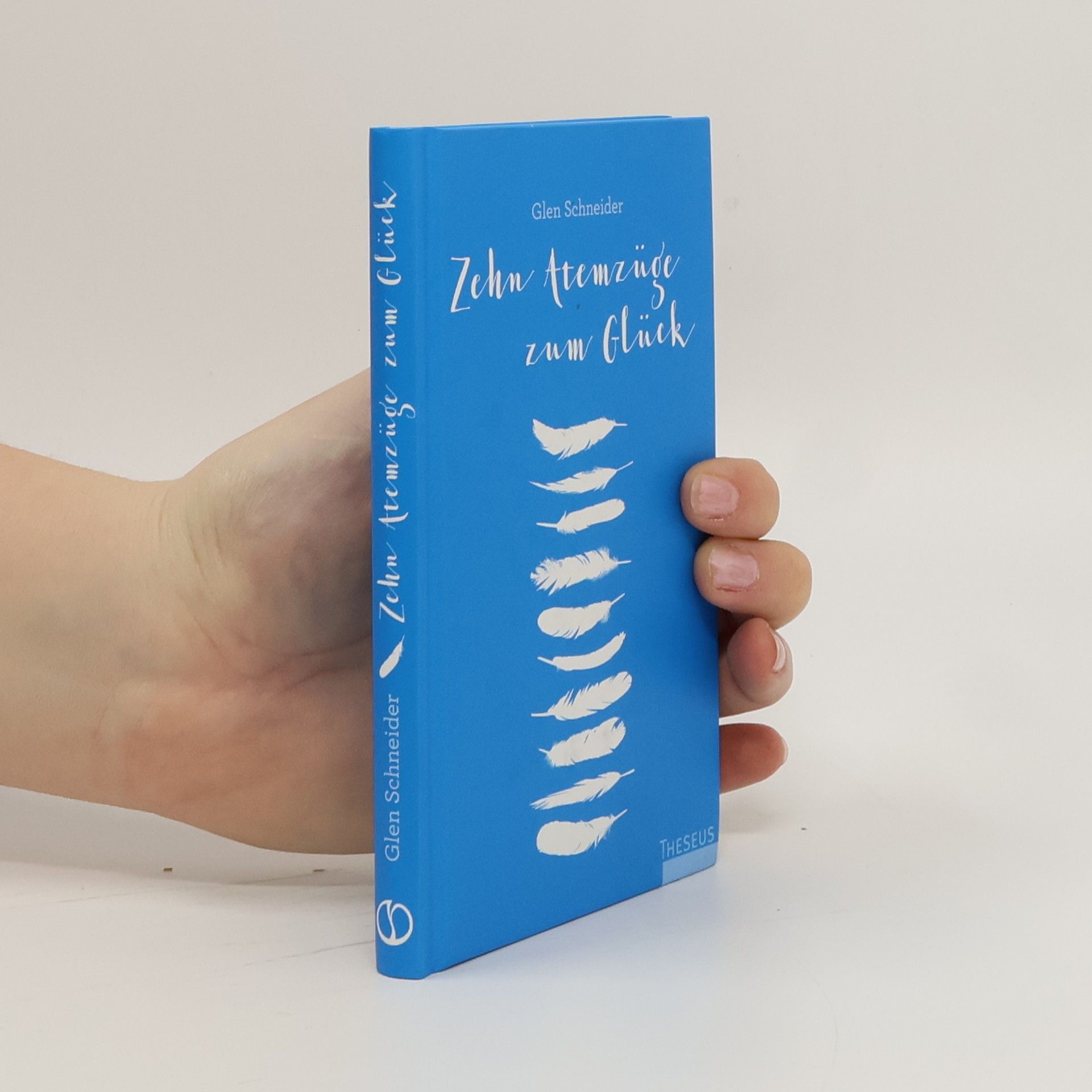 Glen Schneider Zehn Atemzüge zum Glück