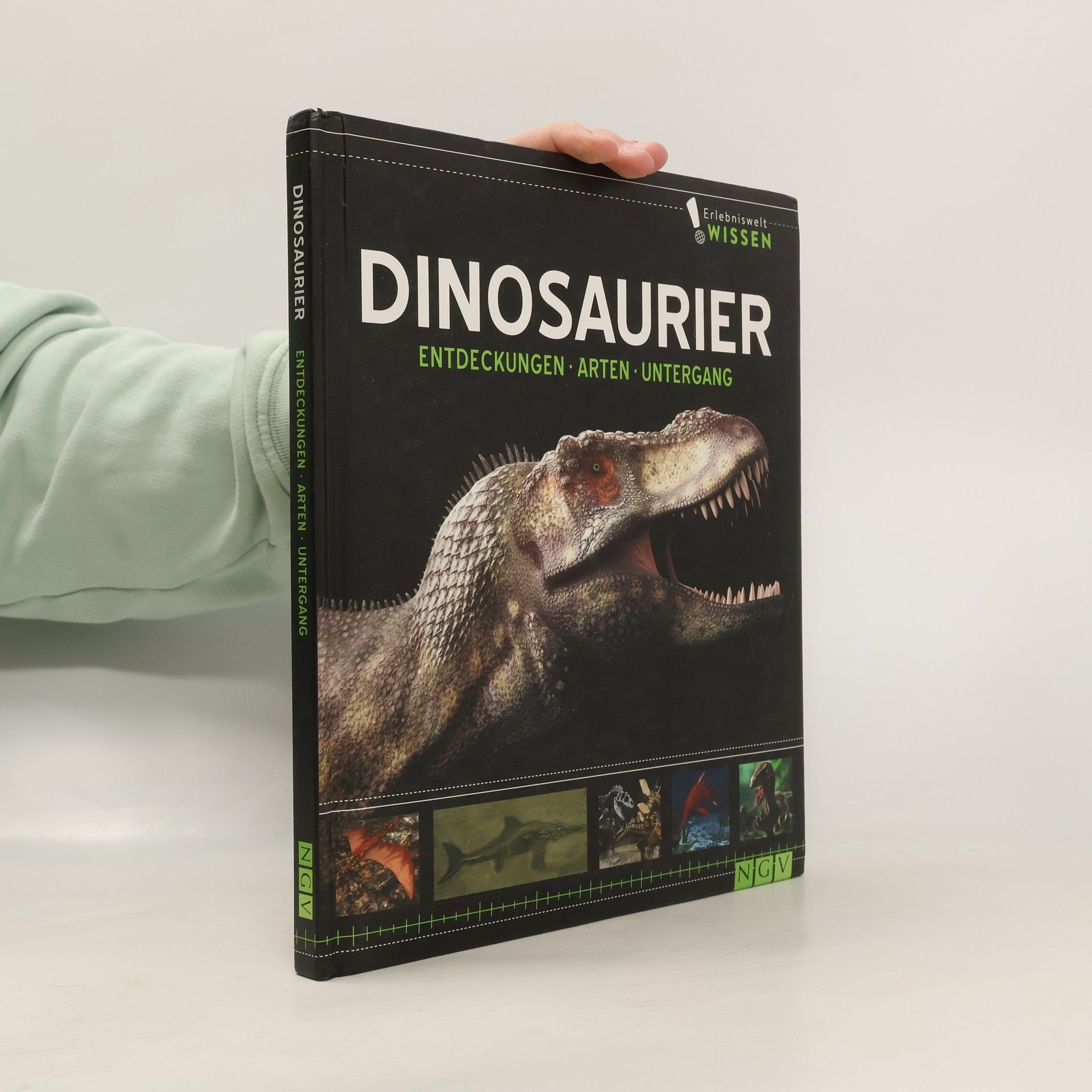 Autorenkollektiv Dinosaurier