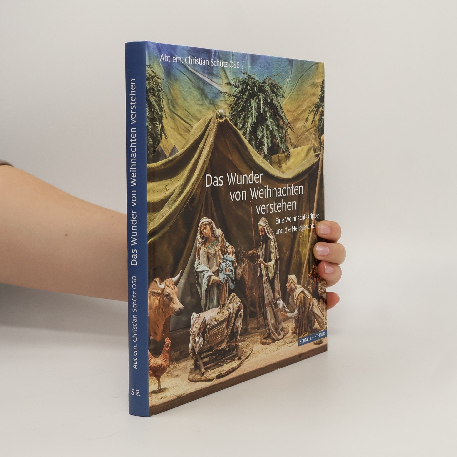 Das Wunder von Weihnachten verstehen. Eine Weihnachtskrippe und die Heilsgeschichte