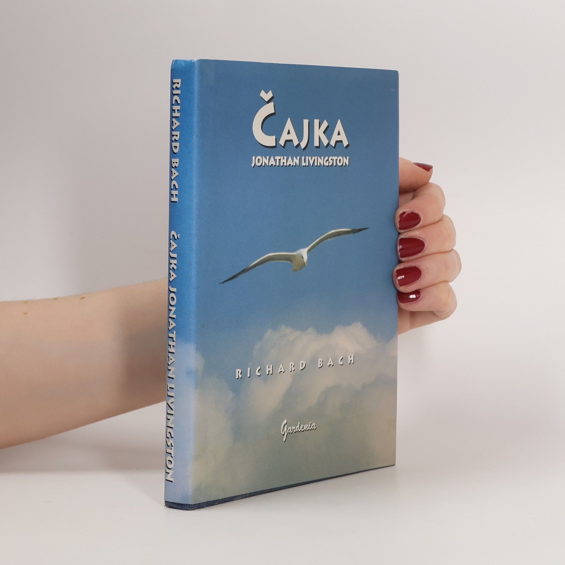 Richard Bach Čajka Jonathan Livingston