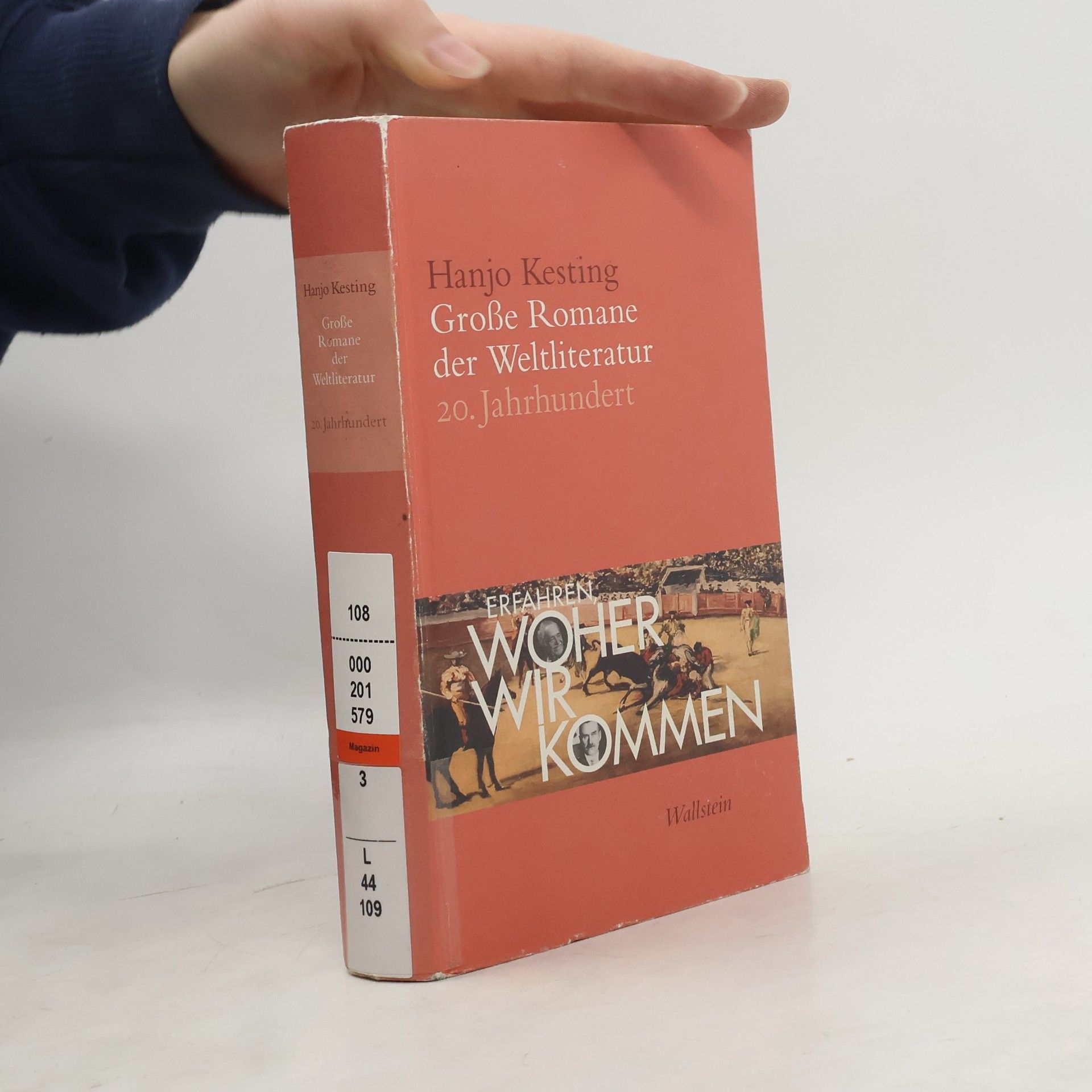 Hanjo Kesting Große Romane der Weltliteratur