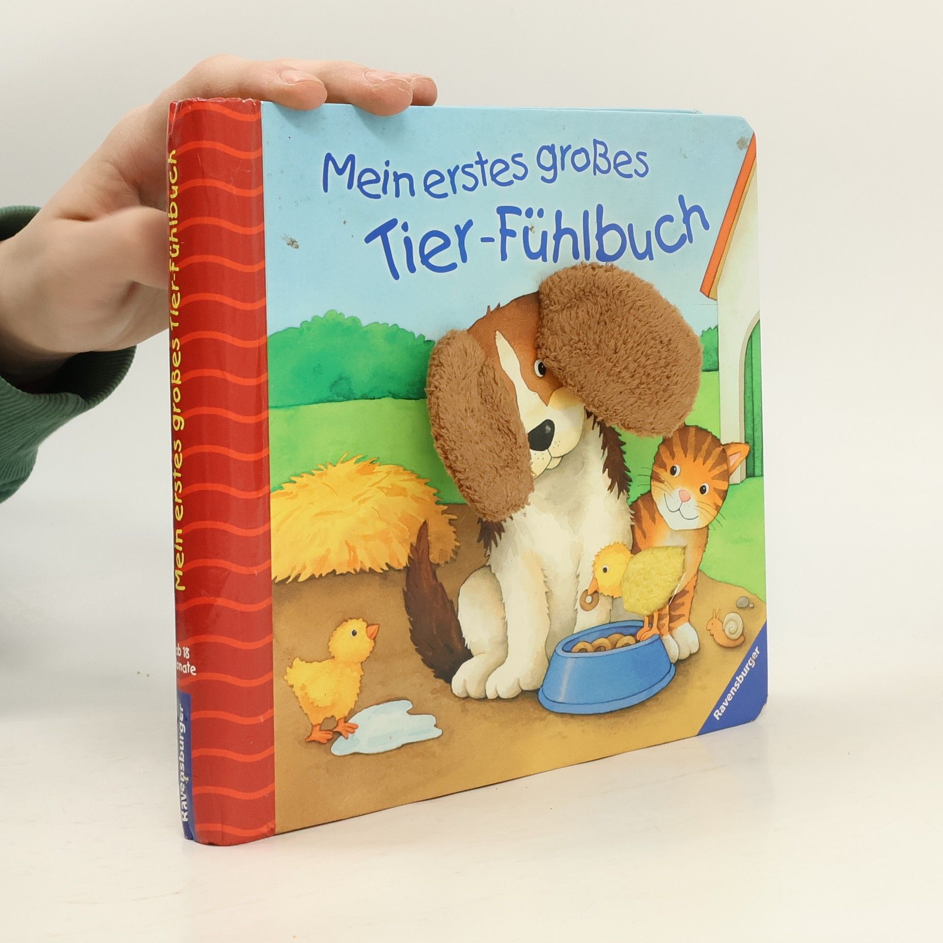 Monika Neubacher Fesser Mein erstes großes Tier-Fühlbuch