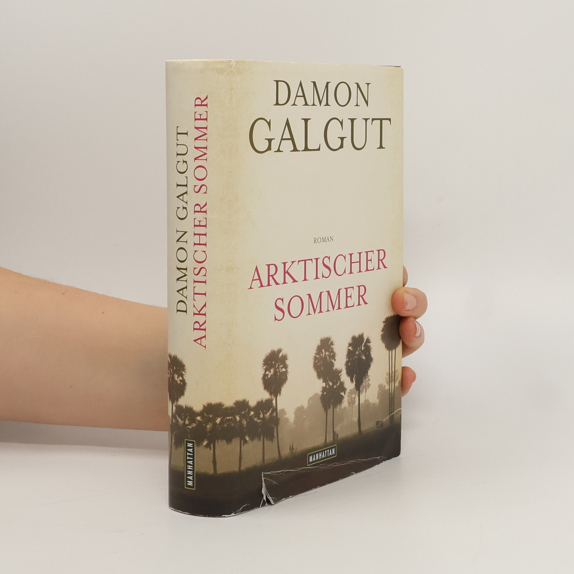 Damon Galgut Arktischer Sommer