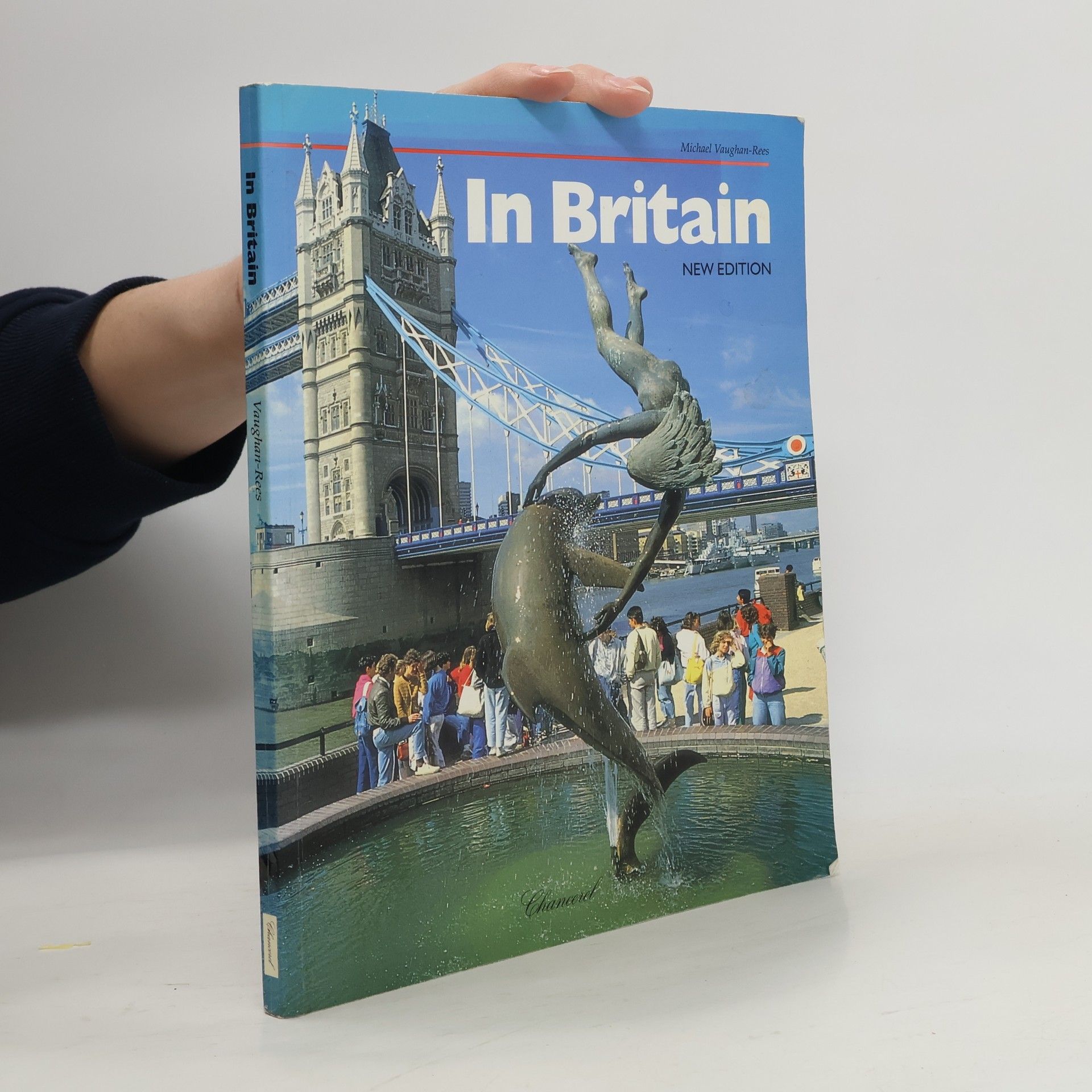 Michael Vaughan Rees In Britain