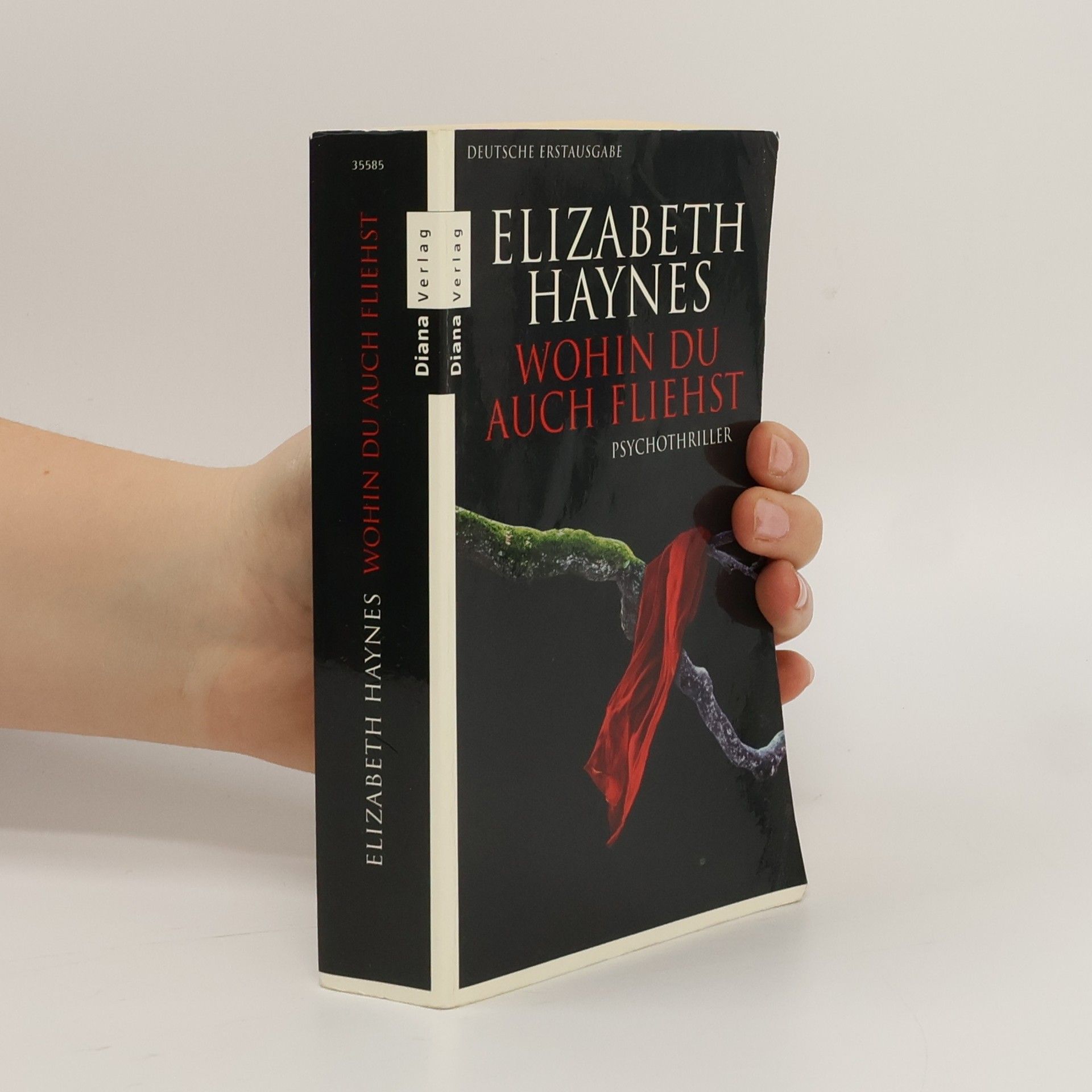 Elizabeth Haynes Wohin du auch fliehst