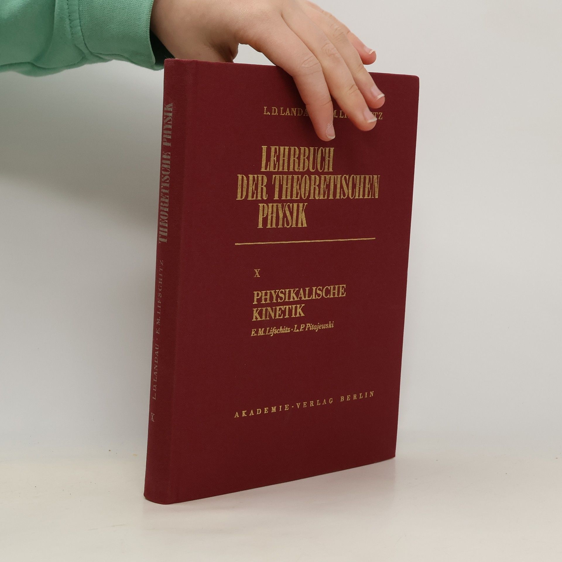 Lehrbuch der Theoretischen Physik - 10: Physikalische Kinetik
