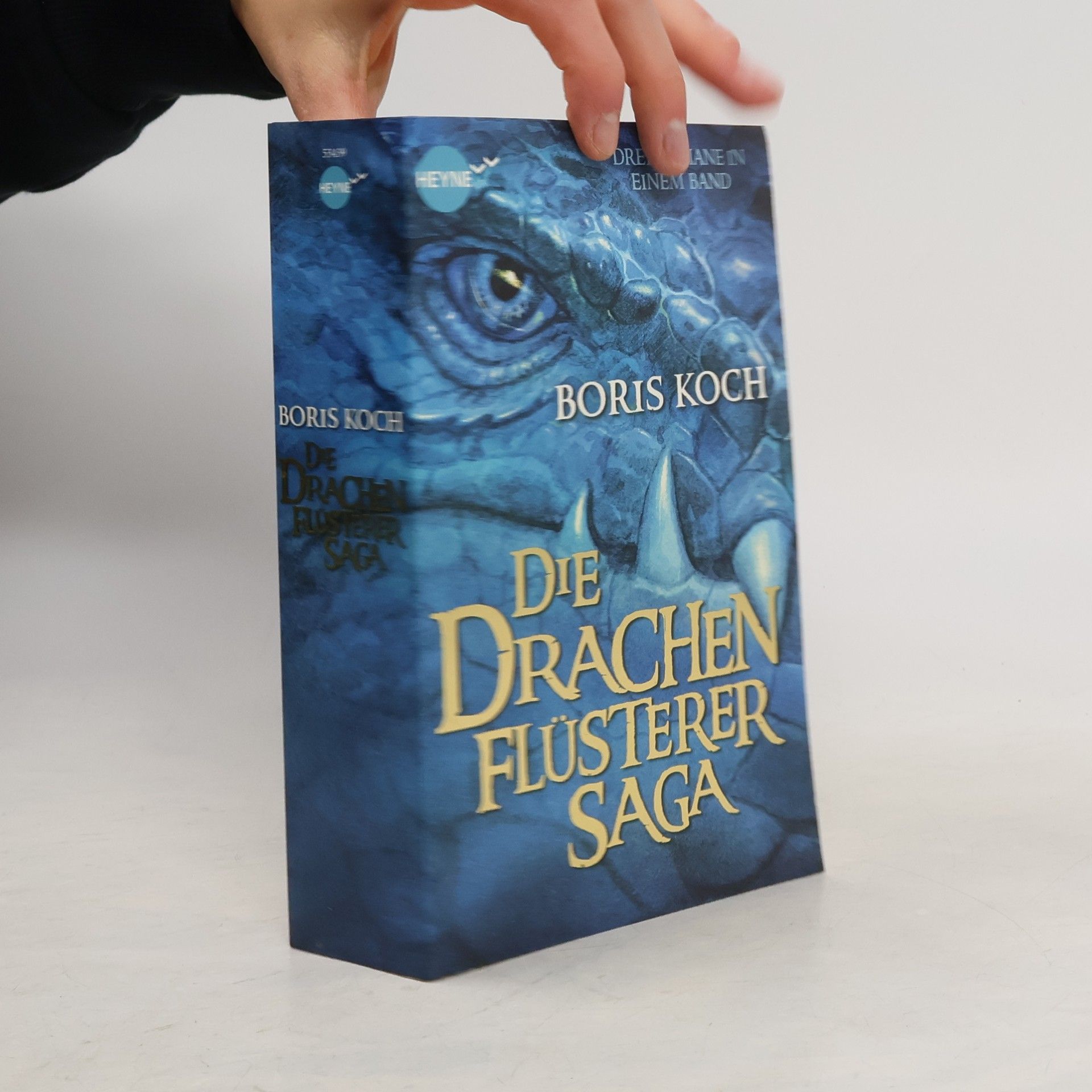 Boris Koch Die Drachenflüsterer-Saga