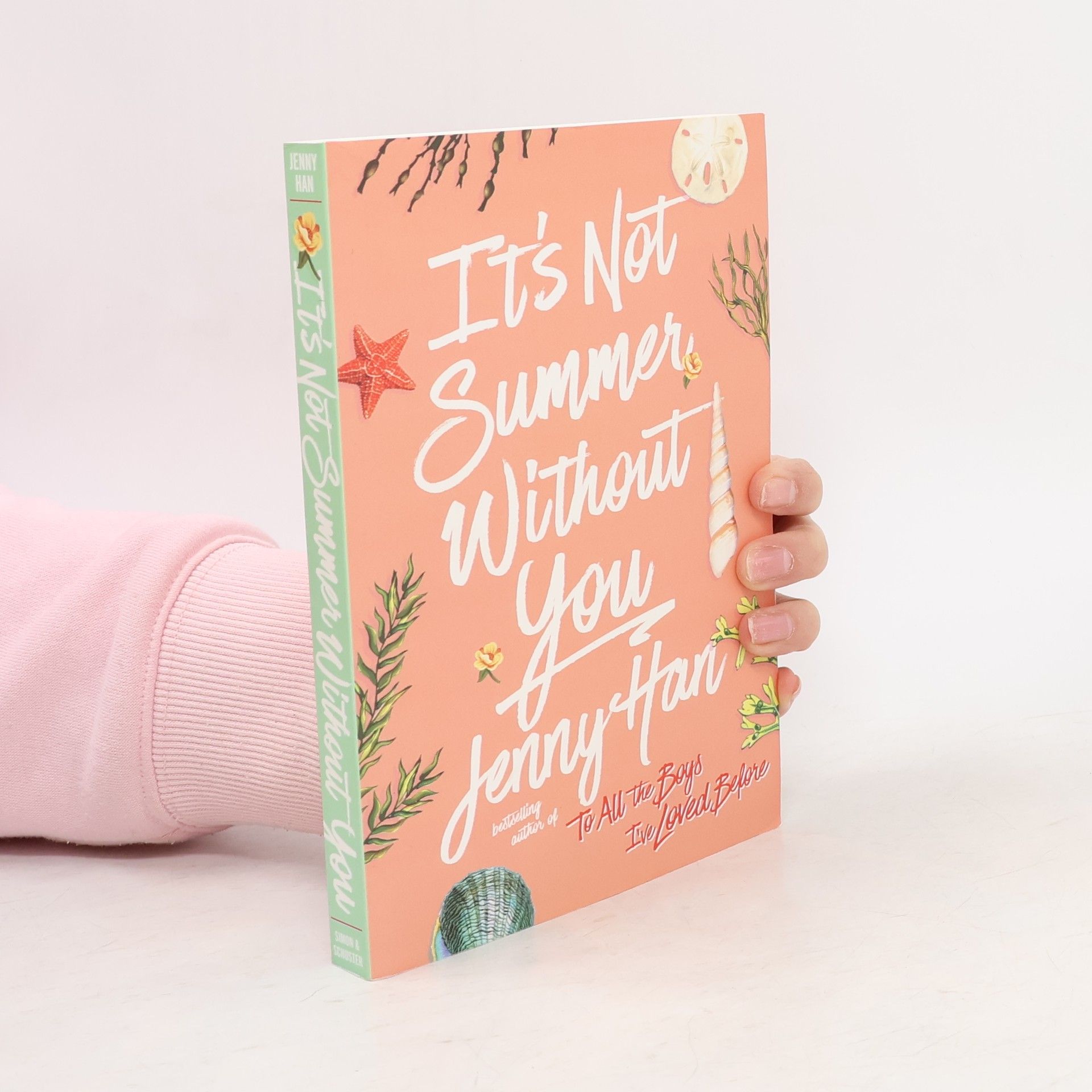 Jenny Han It's Not Summer Without You