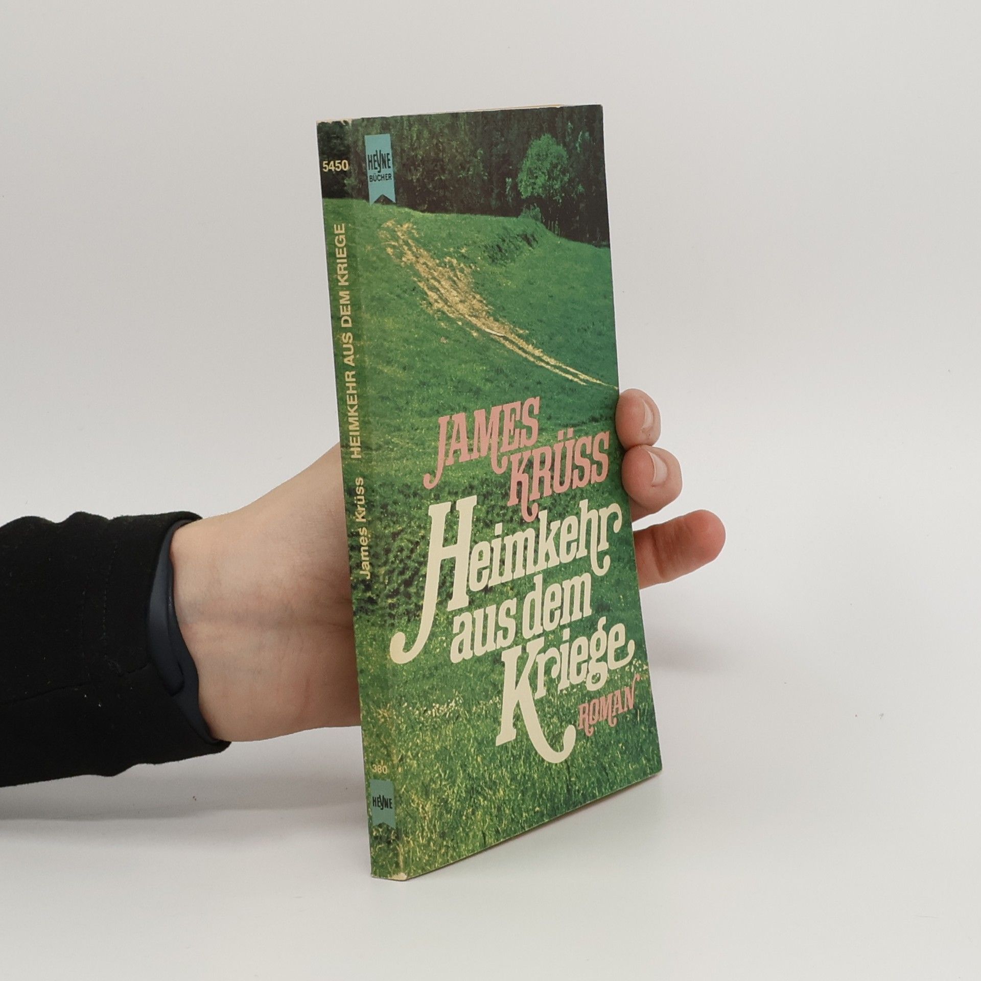 Heimkehr aus dem Kriege