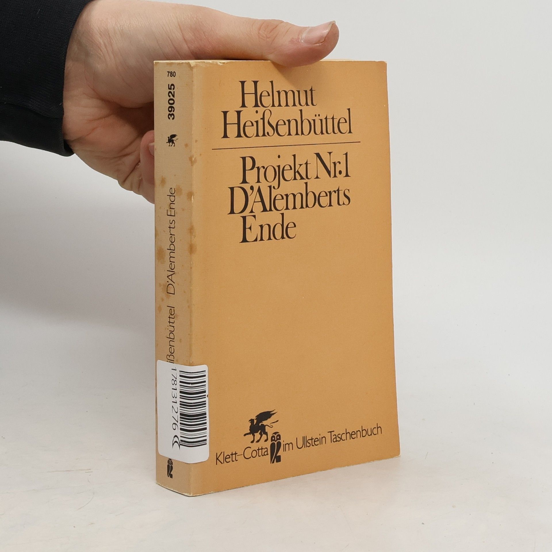 Projekt Nr.1 D'Alemberts Ende