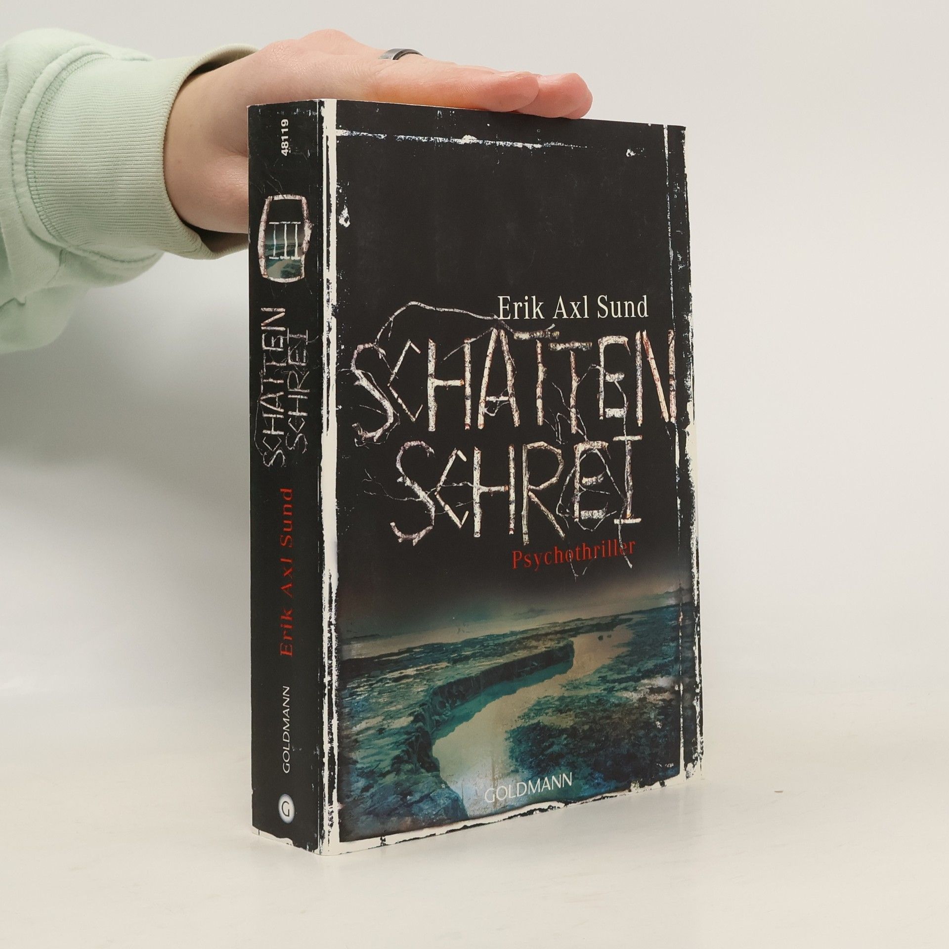 Erik Axl Sund Schattenschrei