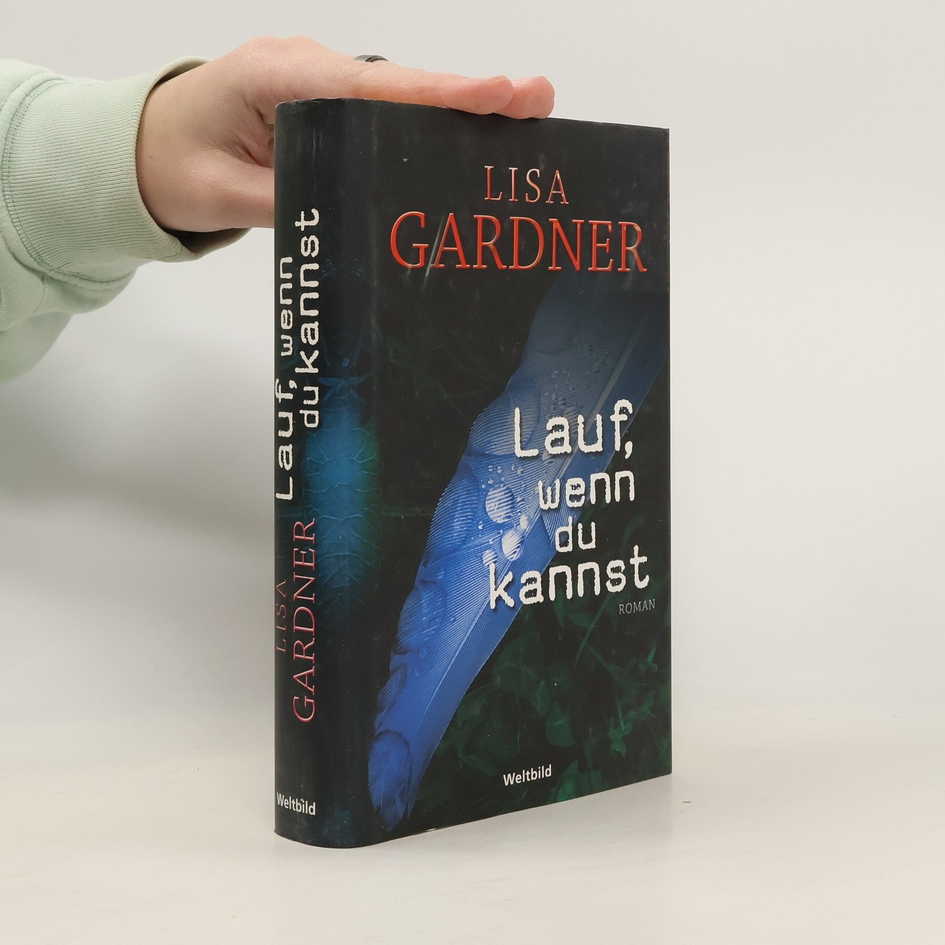 Lisa Gardner Lauf, wenn du kannst