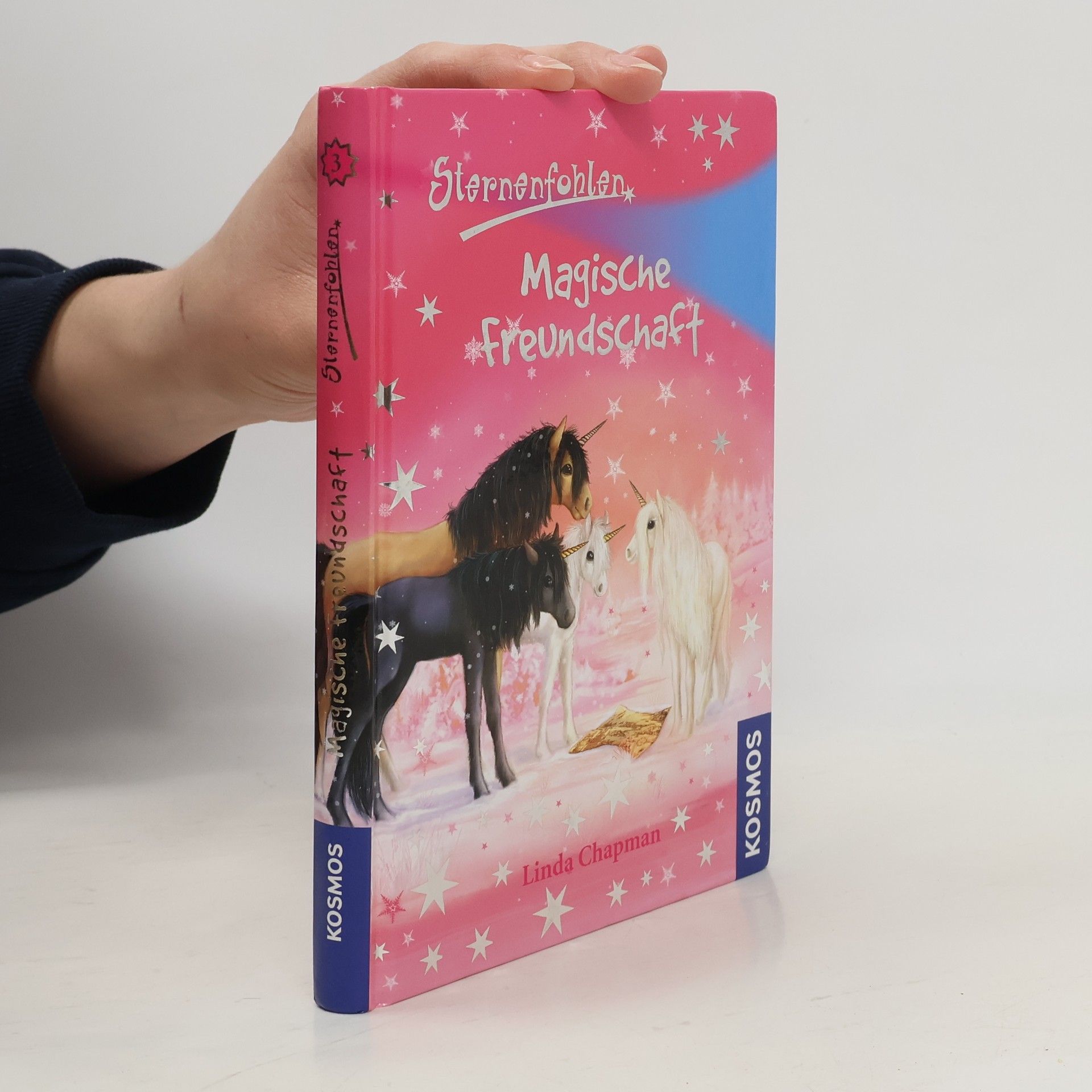 Linda Chapman Magische Freundschaft