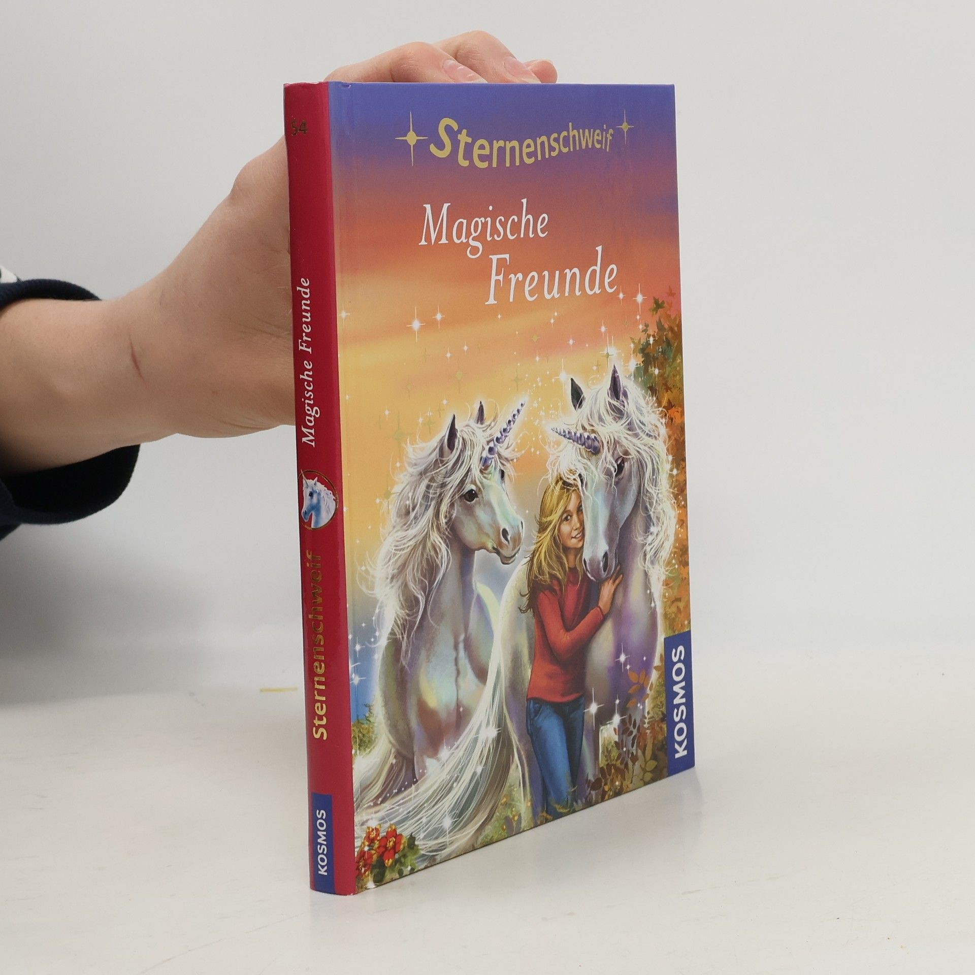 Linda Chapman Magische Freunde