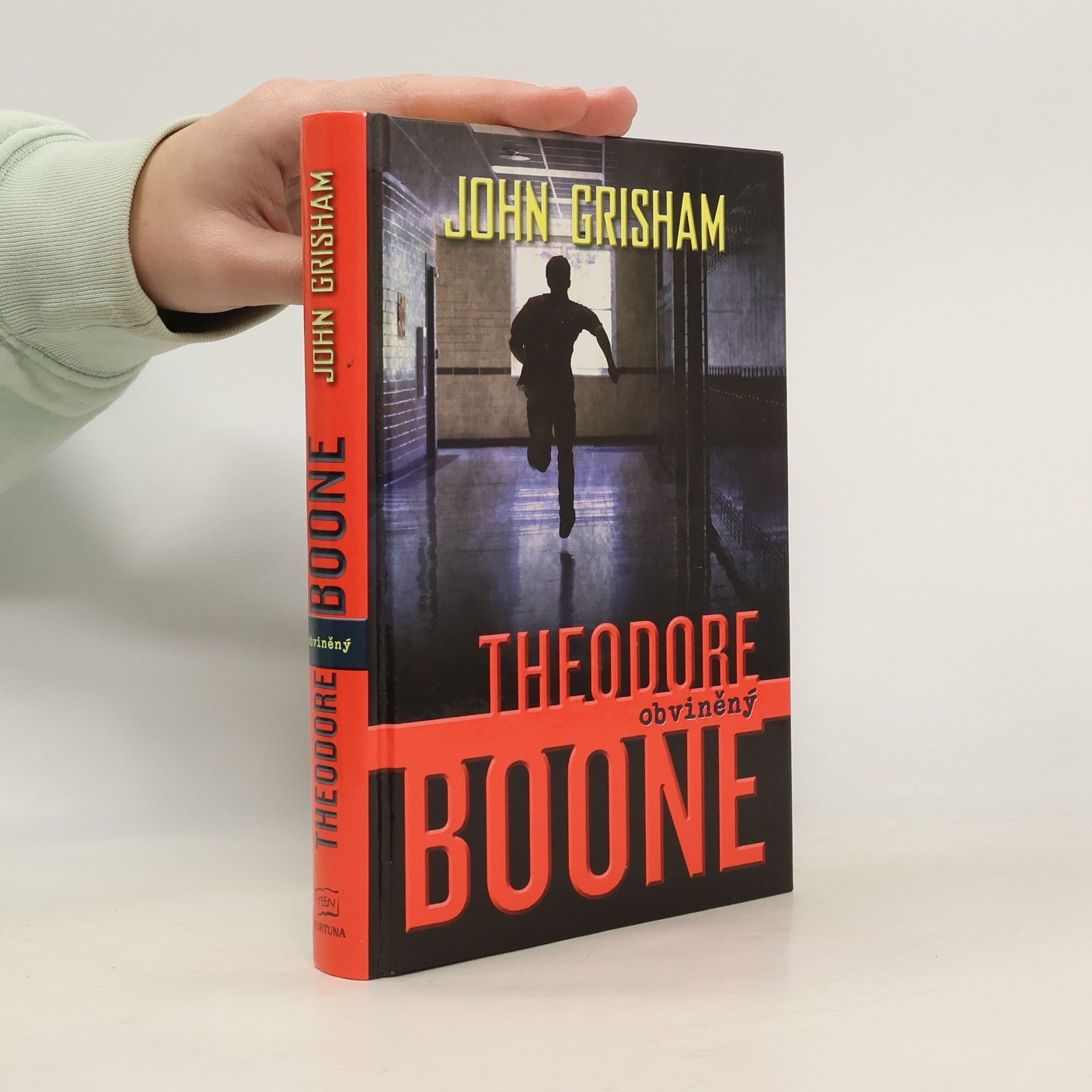 Theodore Boone : obviněný