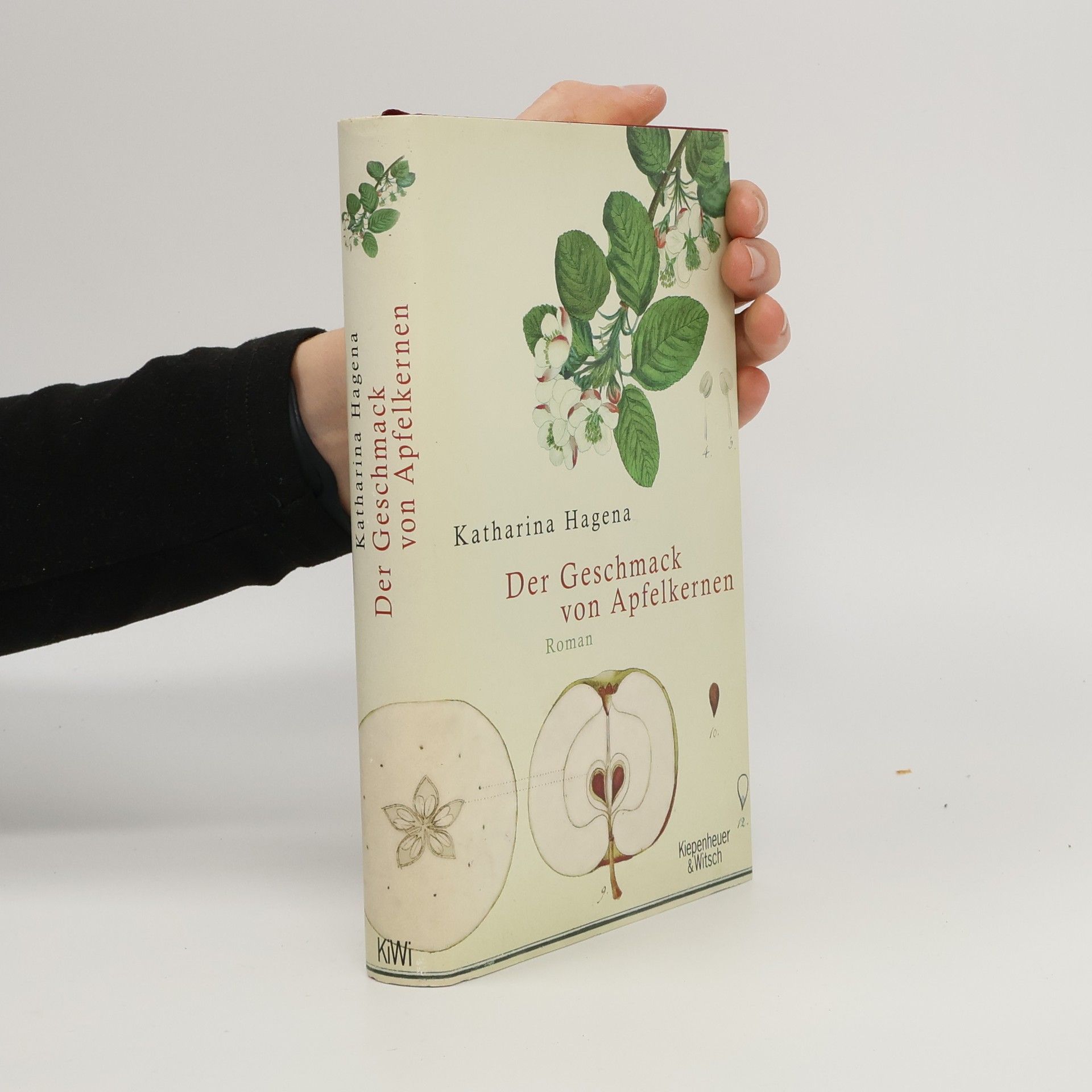 Katharina Hagena Der Geschmack von Apfelkernen