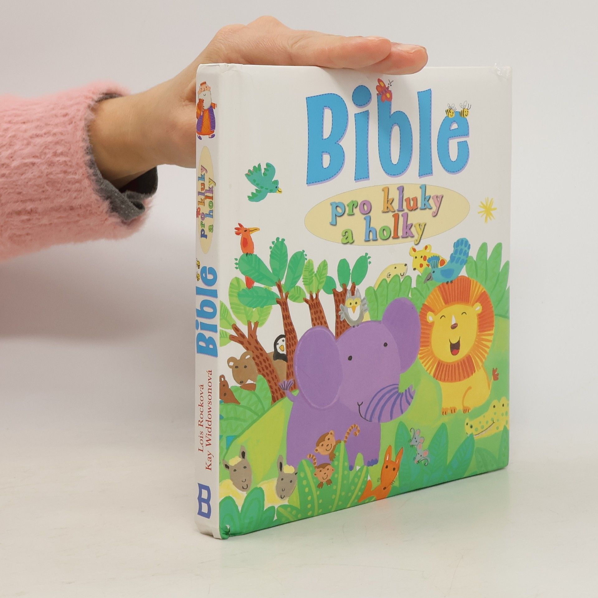 Lois Rocková Bible pro kluky a holky