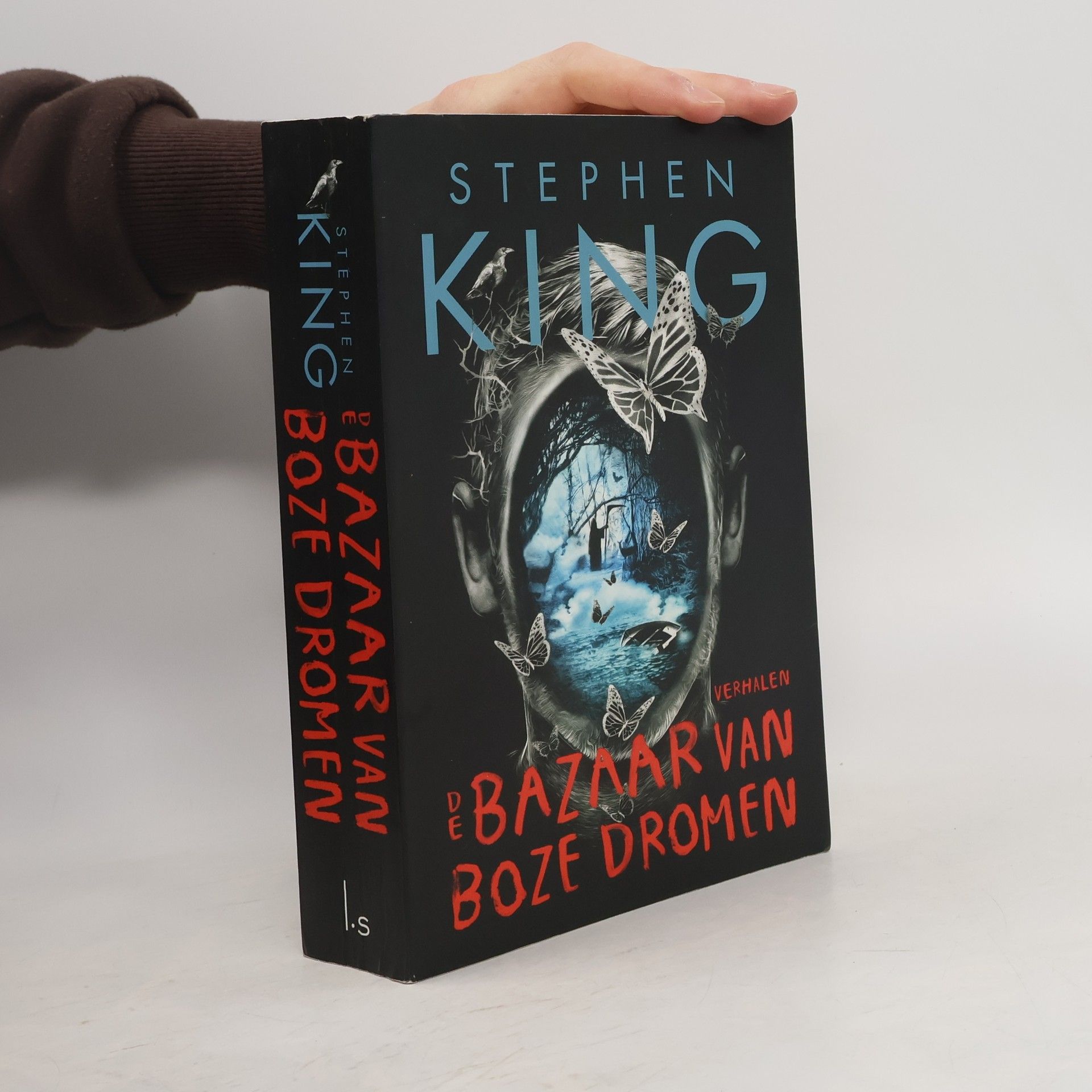 Annemarie Lodewijk De bazaar van boze dromen