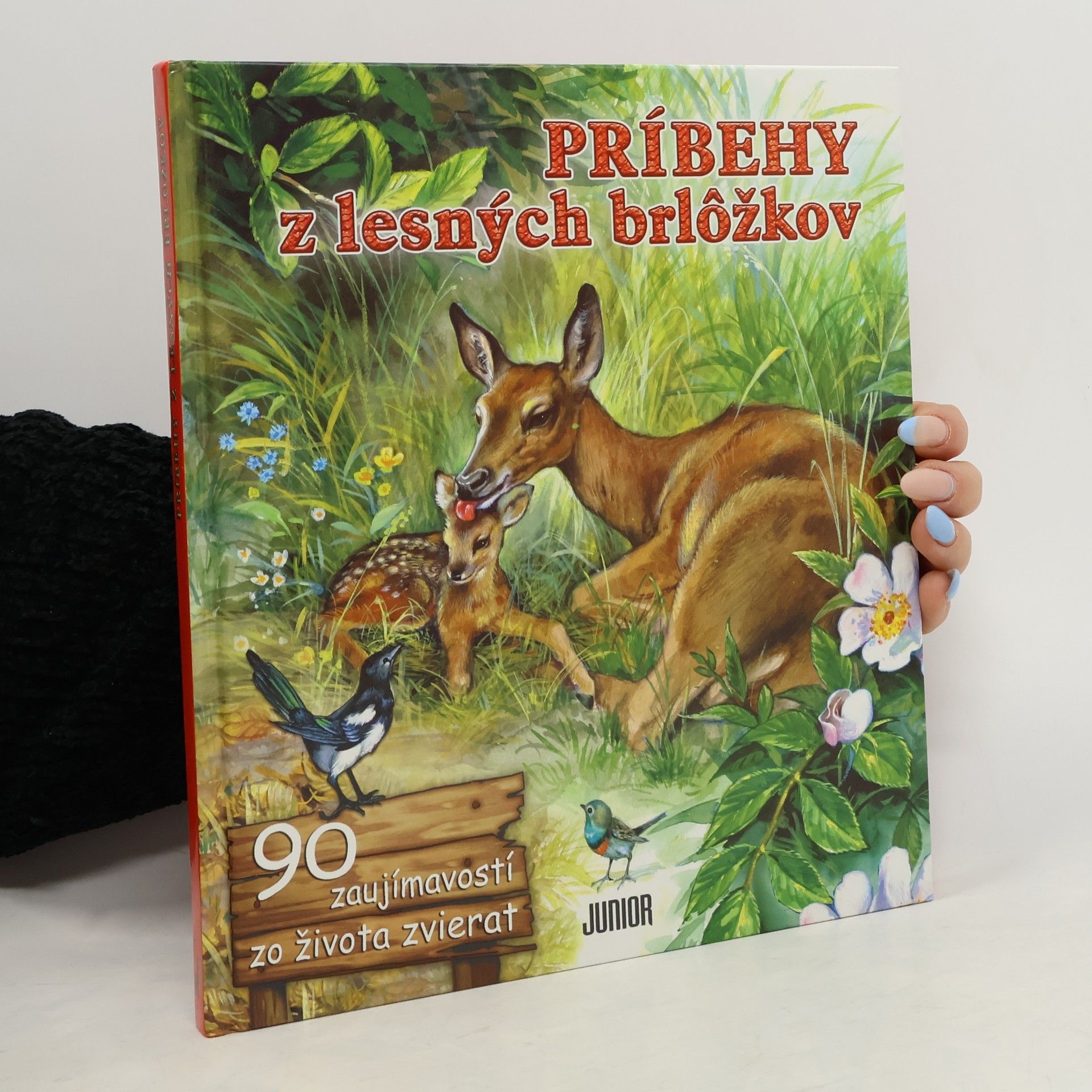 Auteurscollectief Príbehy z lesných brložkov