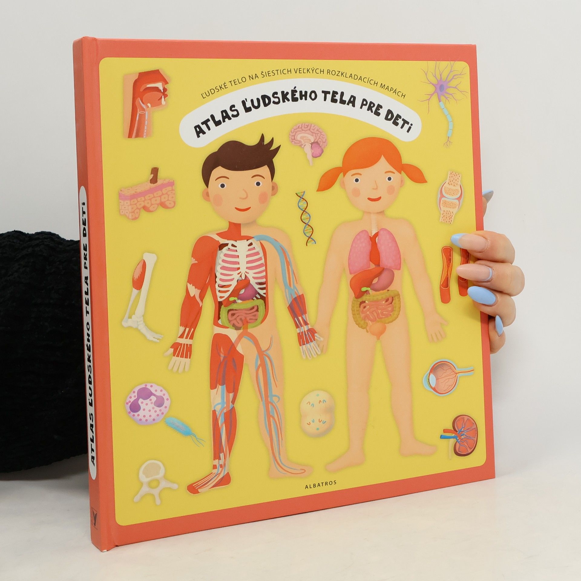 Oldřich Růžička Atlas ľudského tela pre deti : ľudské telo na šiestich veľkých rozkladacích mapách