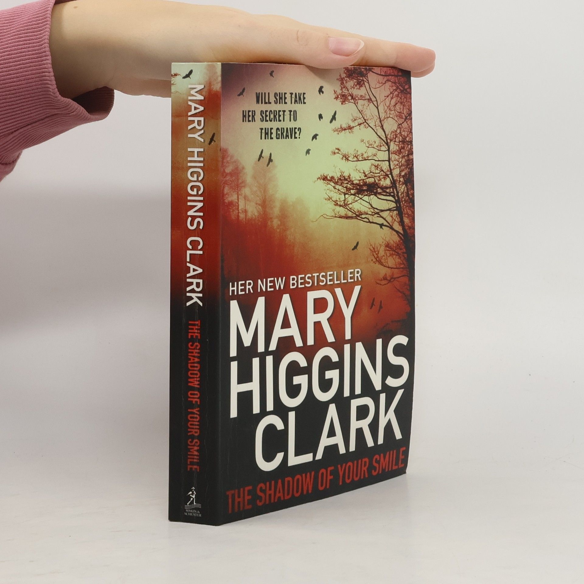 Shadow of Your Smile