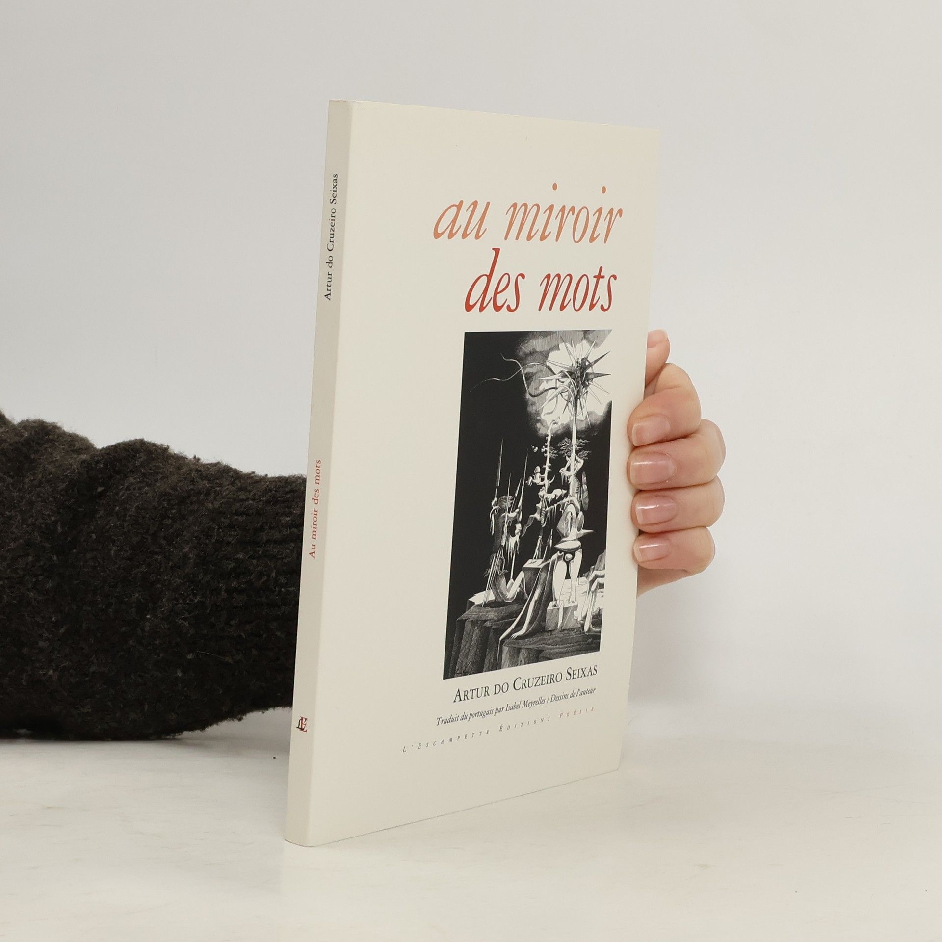 Artur do Cruzeiro Seixas Au miroir des mots