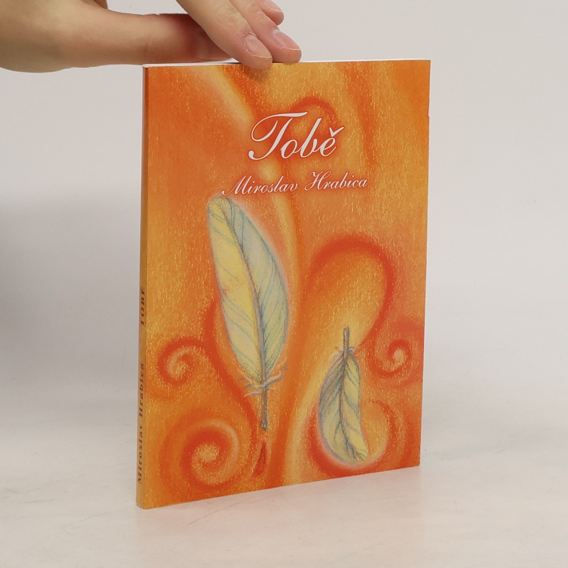 Miroslav Hrabica Tobě. Aneb pomoc stále při ruce.