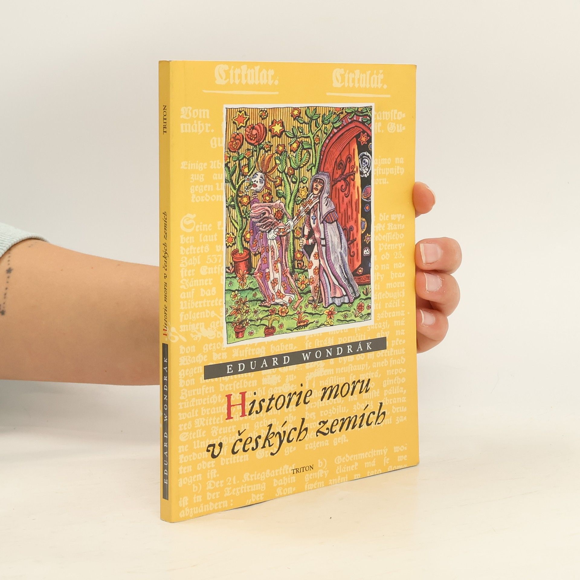 Historie moru v českých zemích