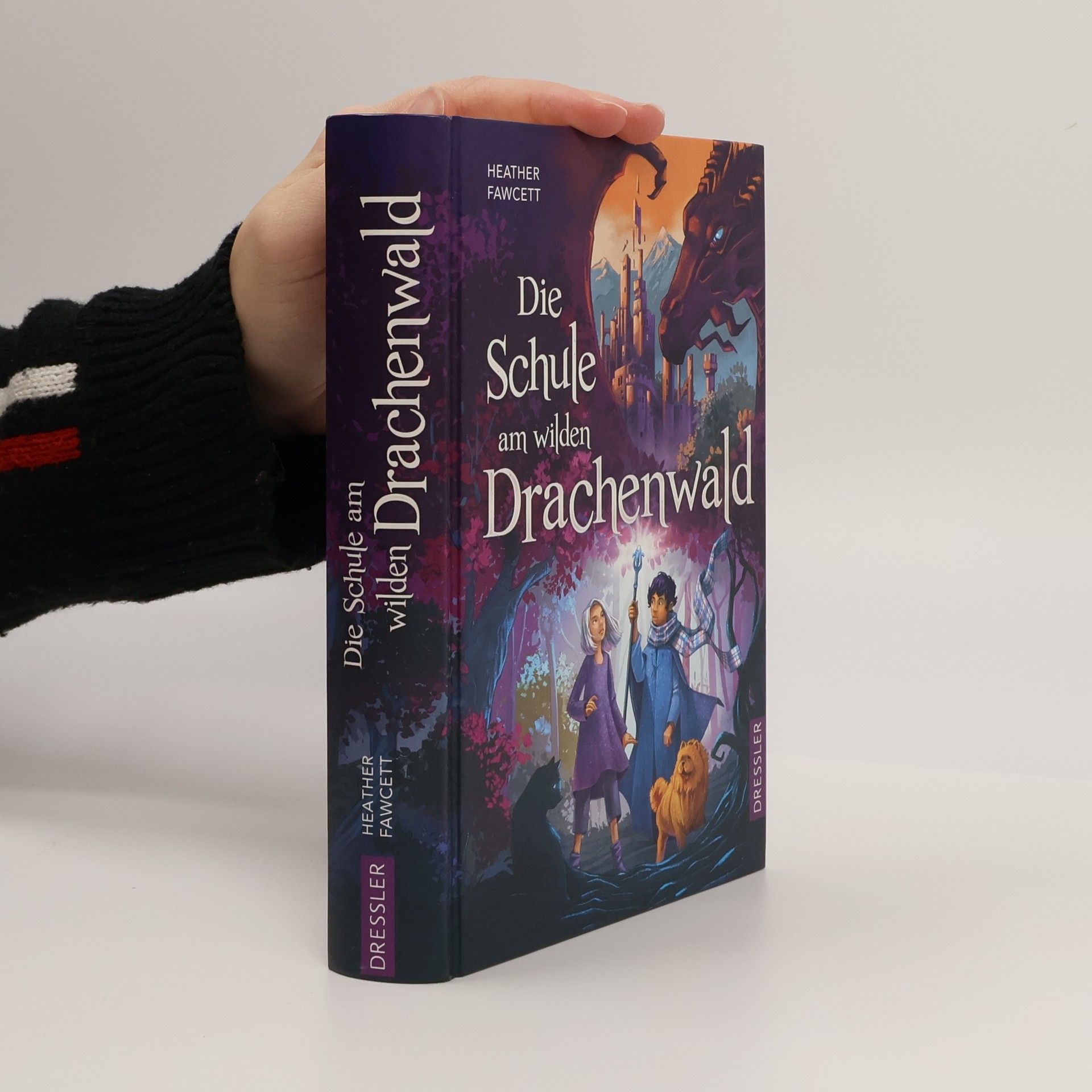 Die Schule am wilden Drachenwald