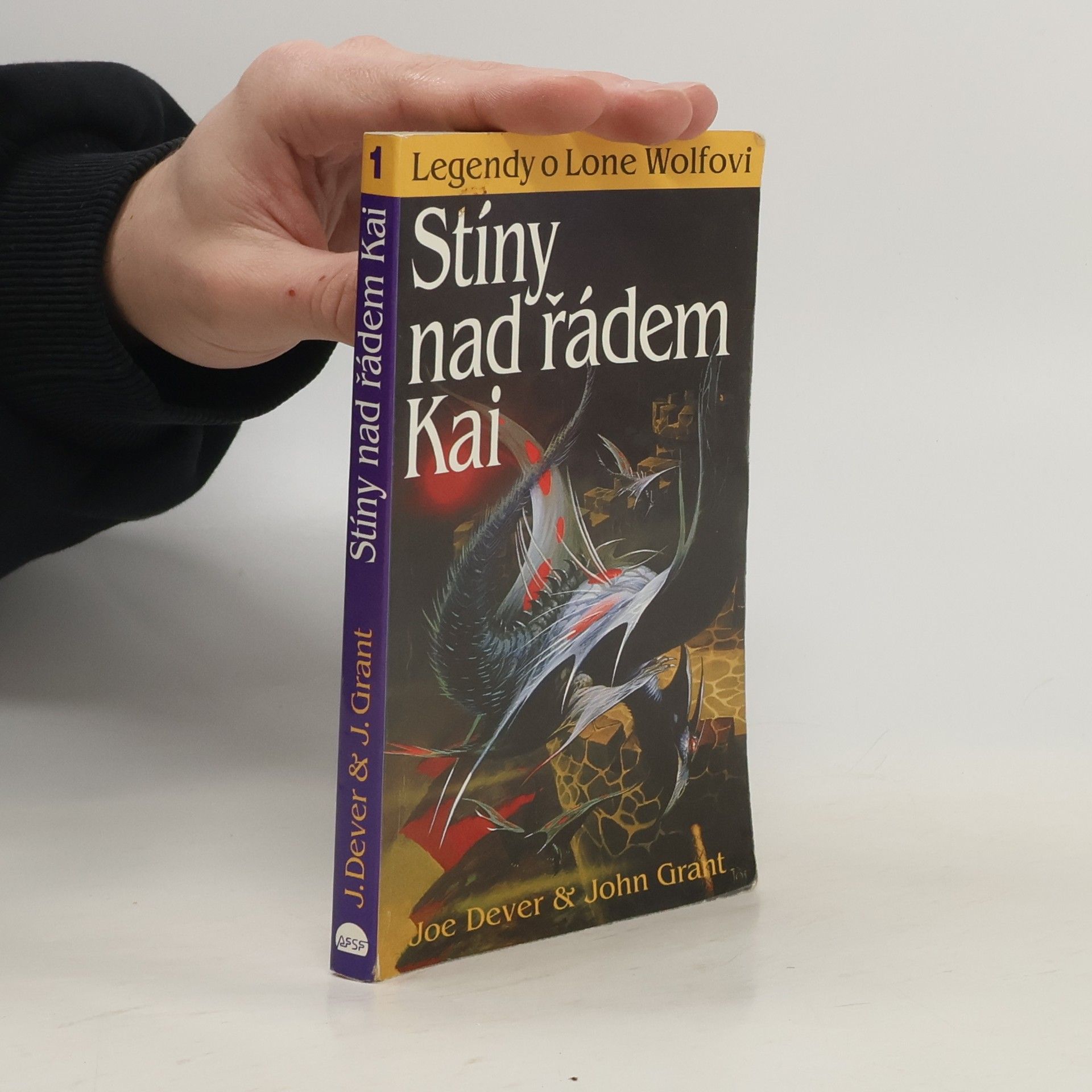 Eva Oliveriusová Stíny nad řádem Kai