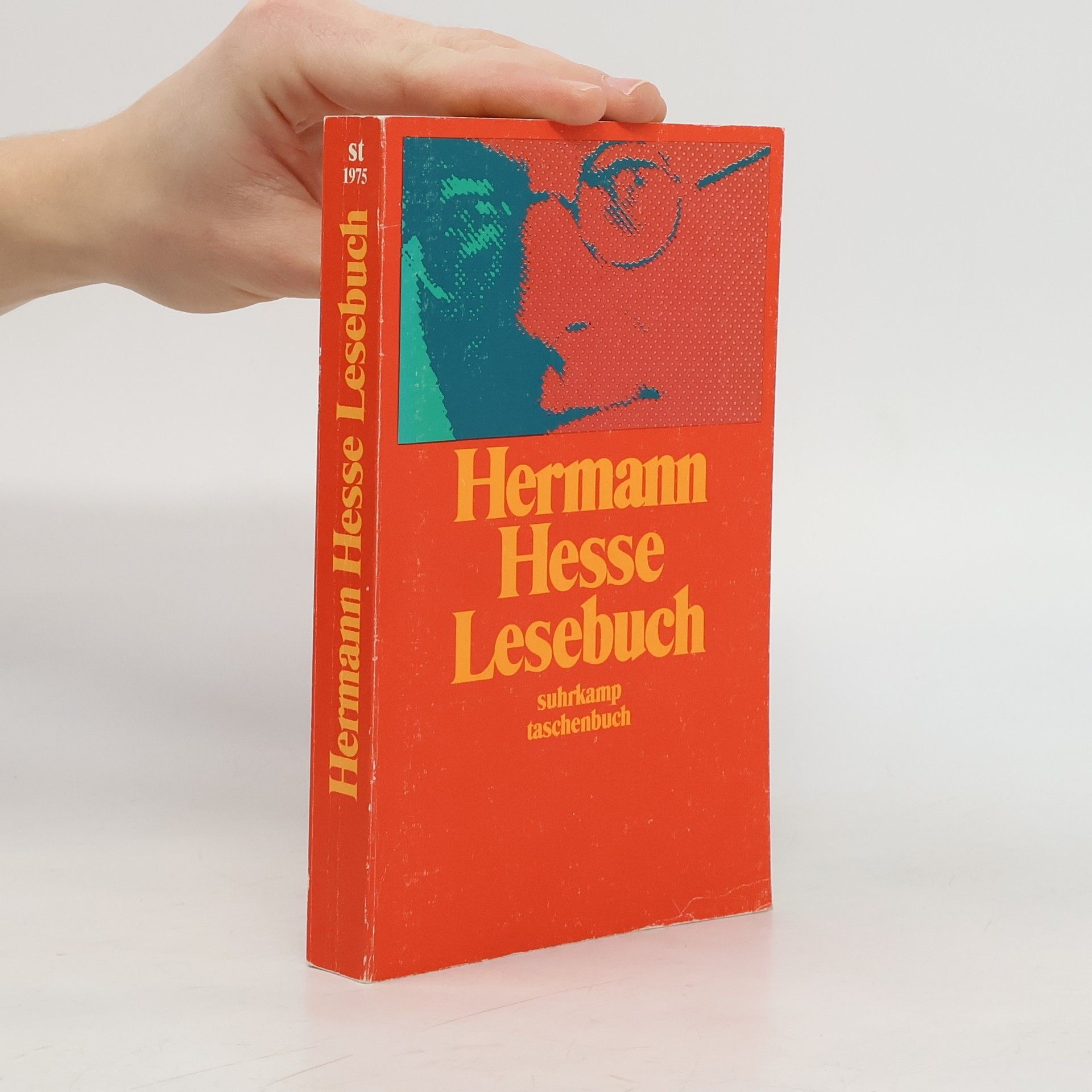 Hermann Hesse Lesebuch