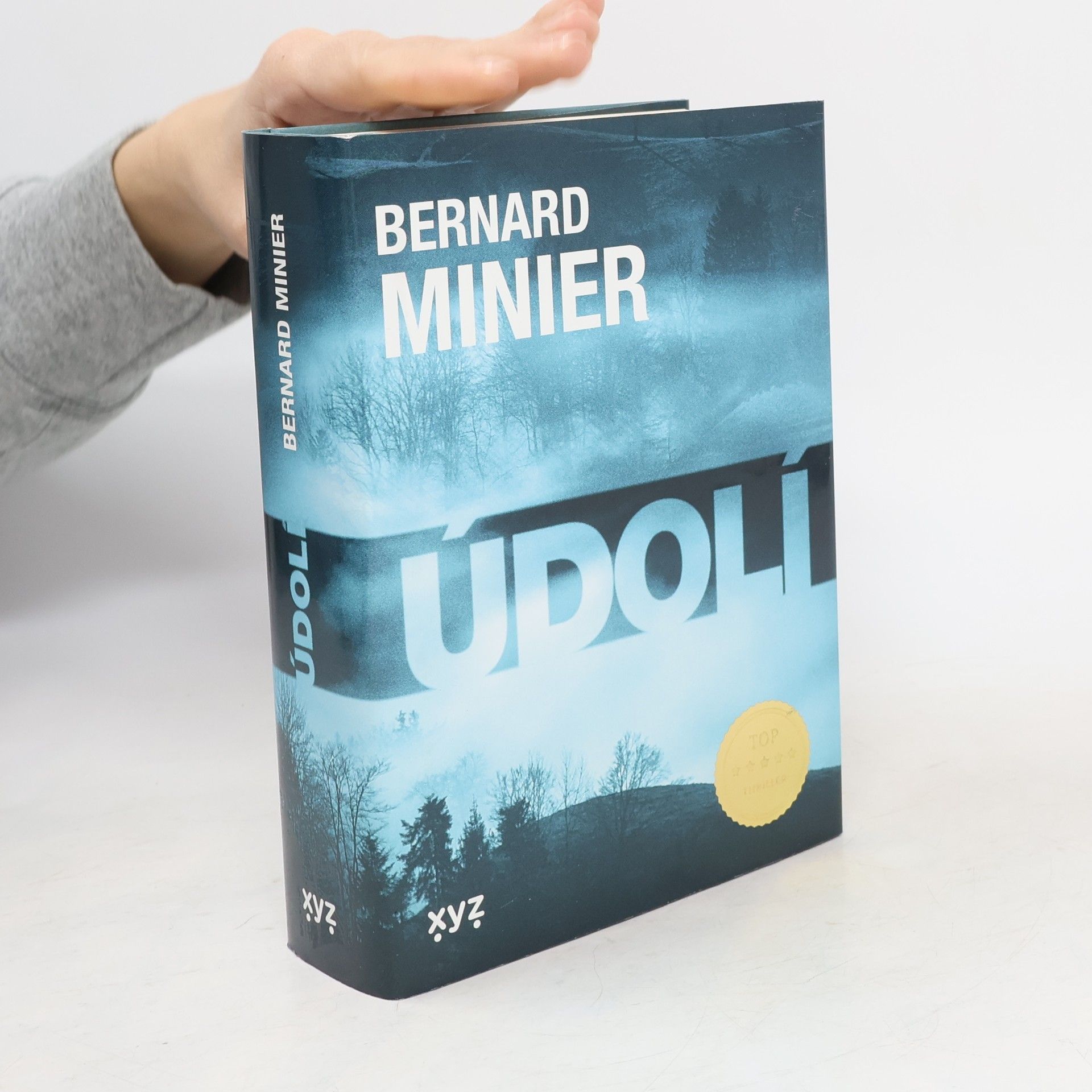 Bernard Minier Údolí