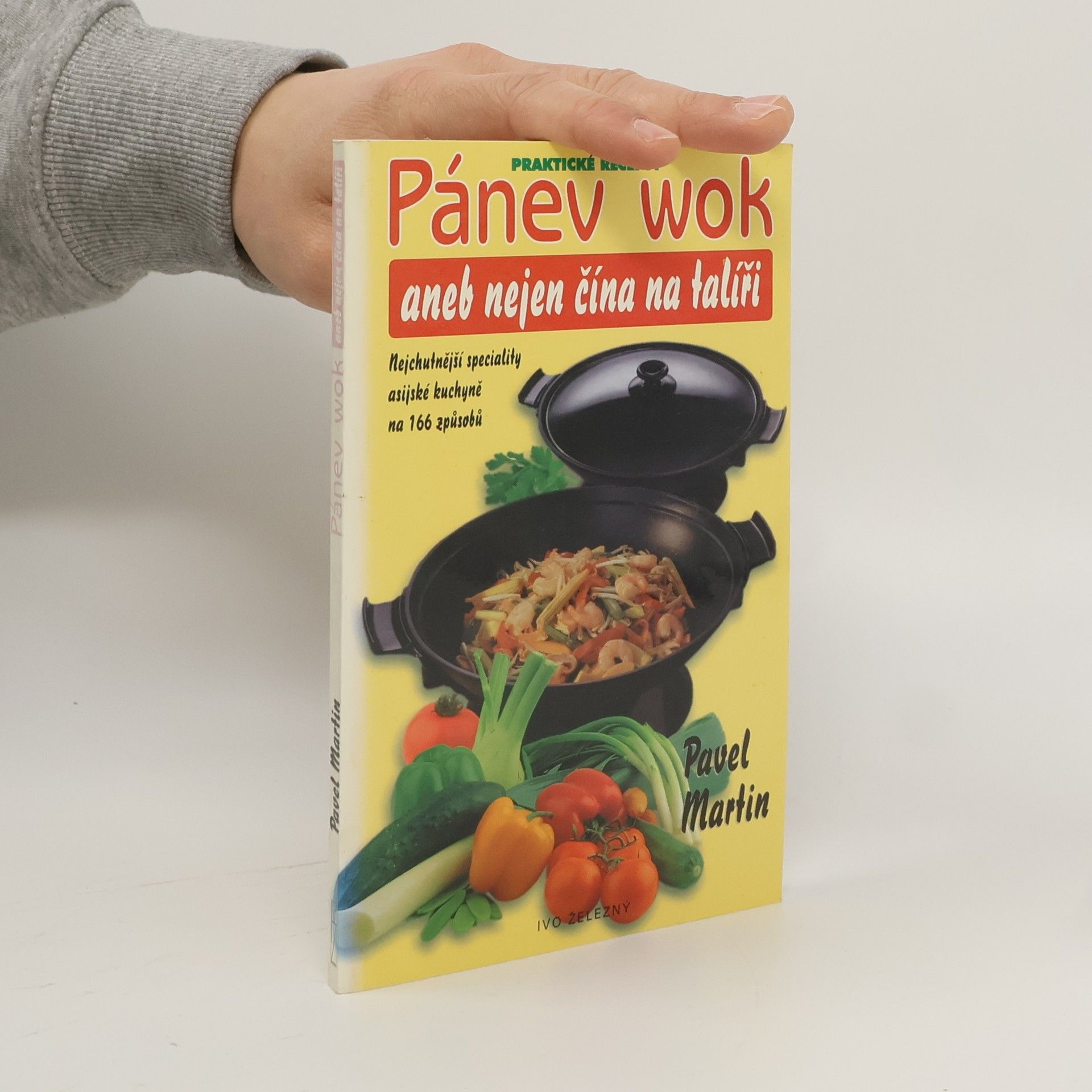 Martin Gabriel Pavel Pánev wok, aneb, Nejen čína na talíři