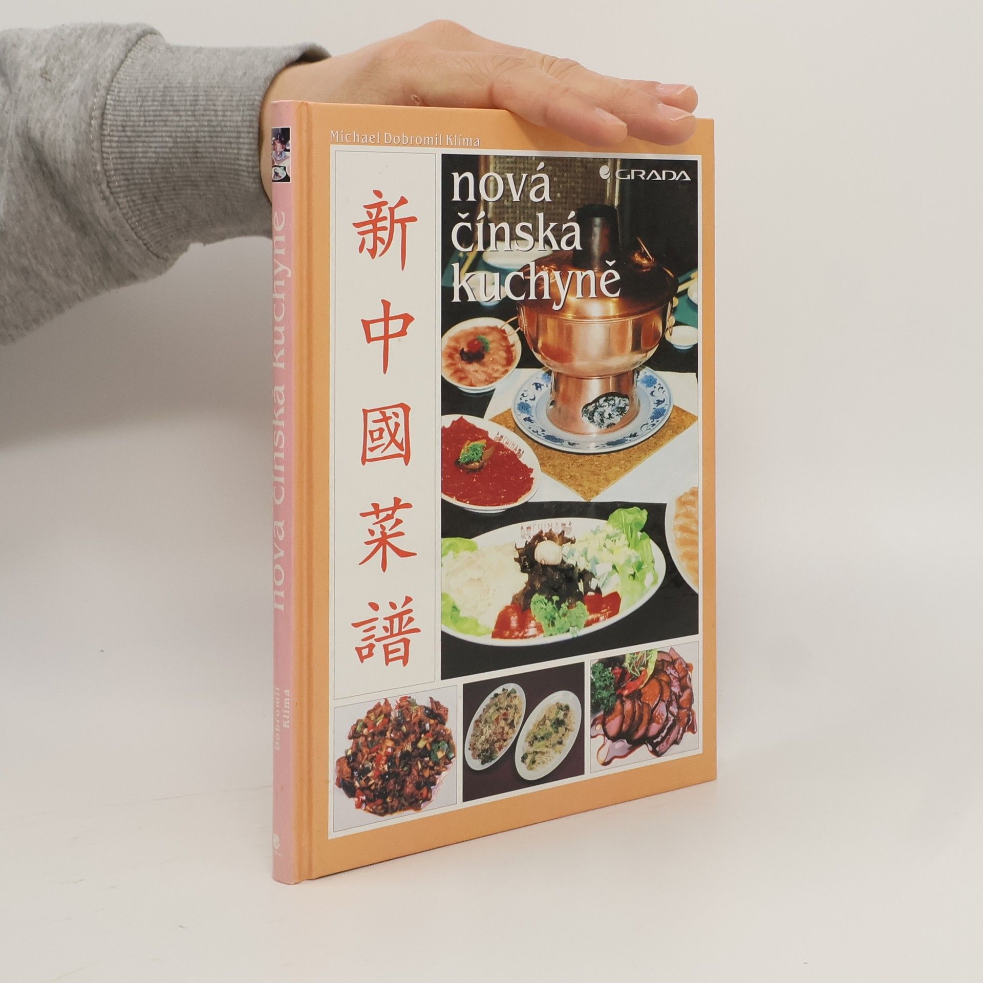 Nová čínská kuchyně