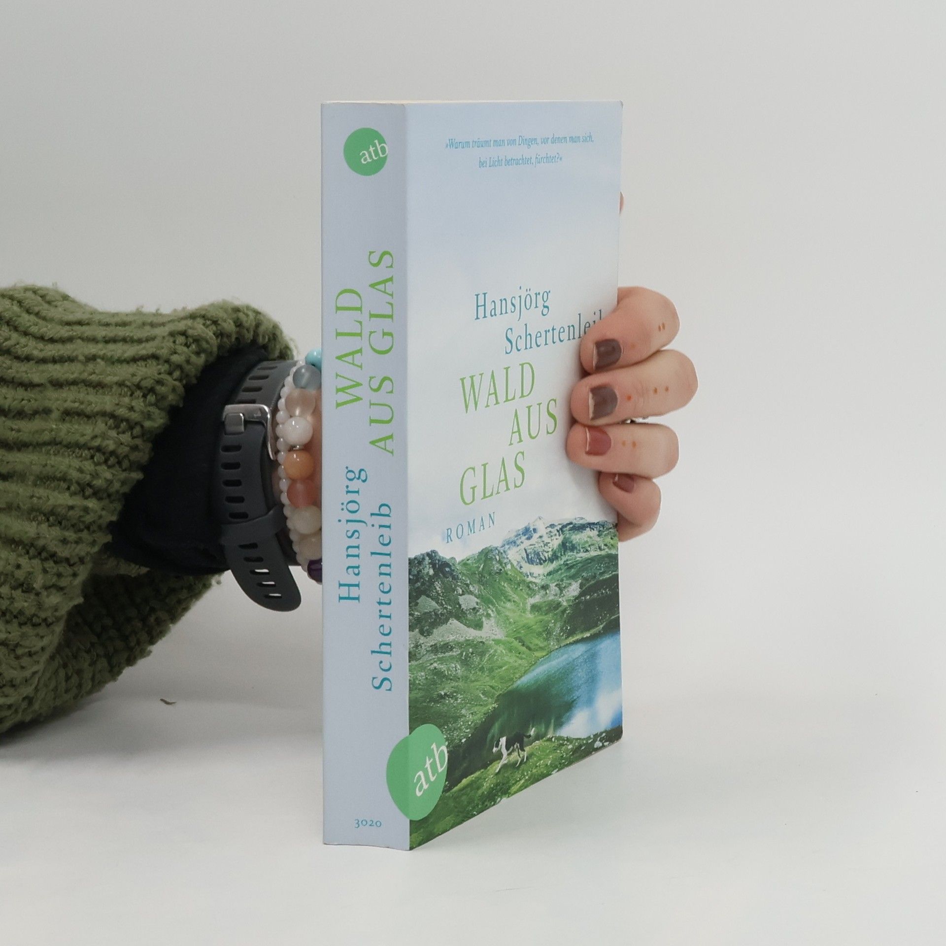 Hansjörg Schertenleib Wald aus Glas