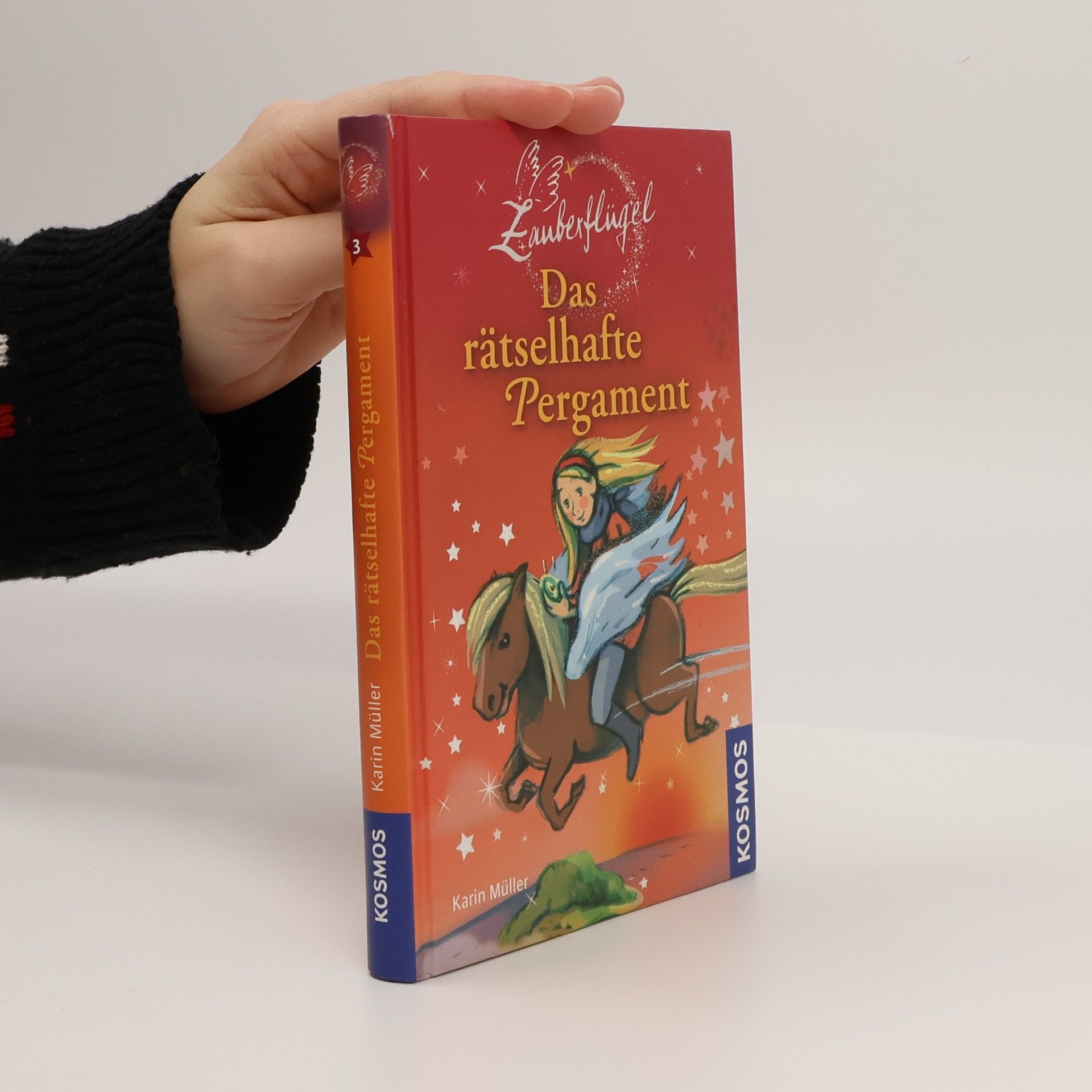 Karin Müller Zauberflügel 3. Das rätselhafte Pergament