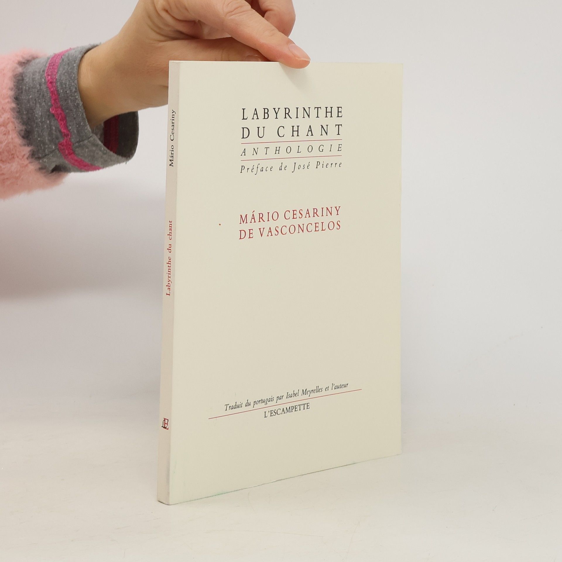 Mário Cesariny de Vasconcelos Labyrinthe du chant