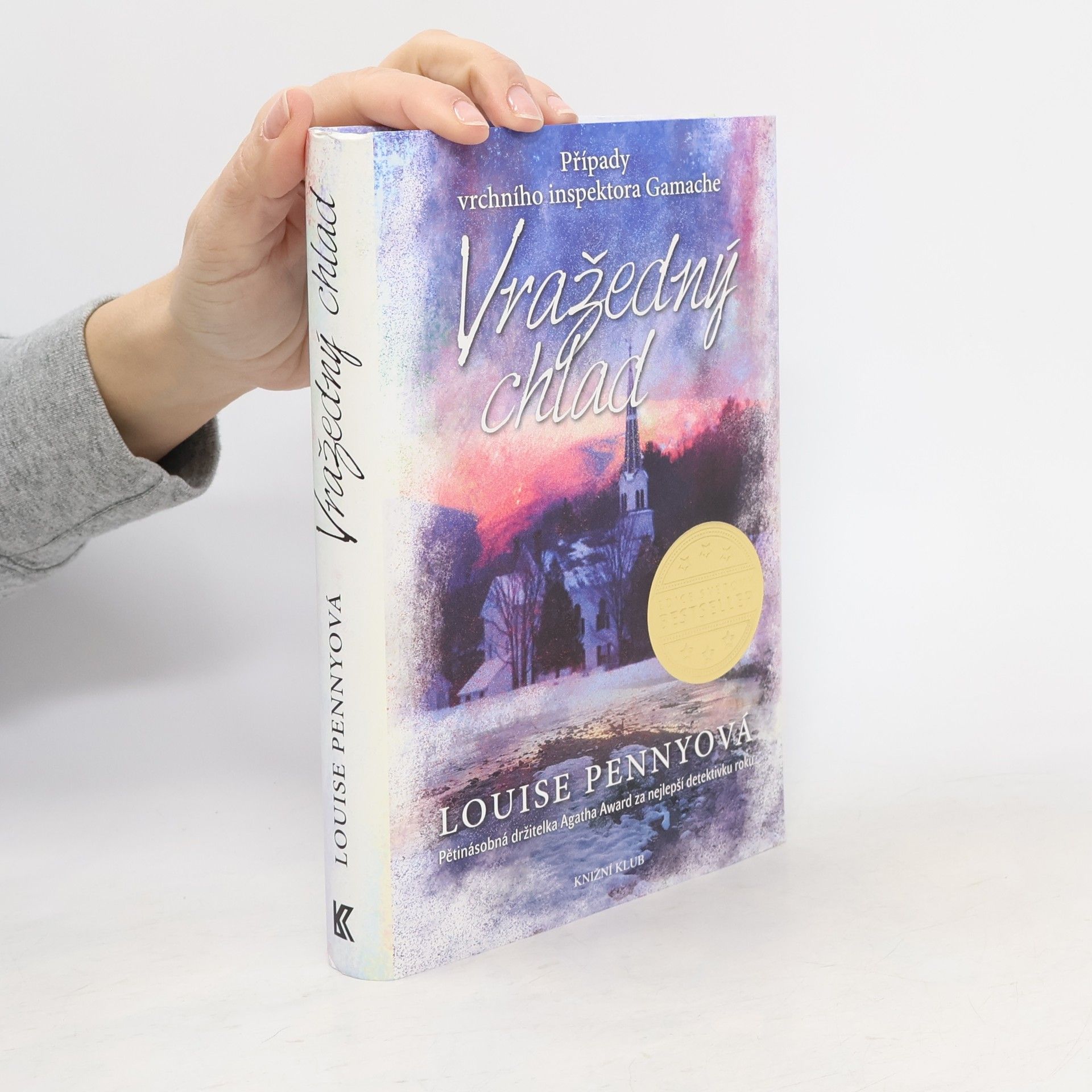 Louise Penny Vražedný chlad