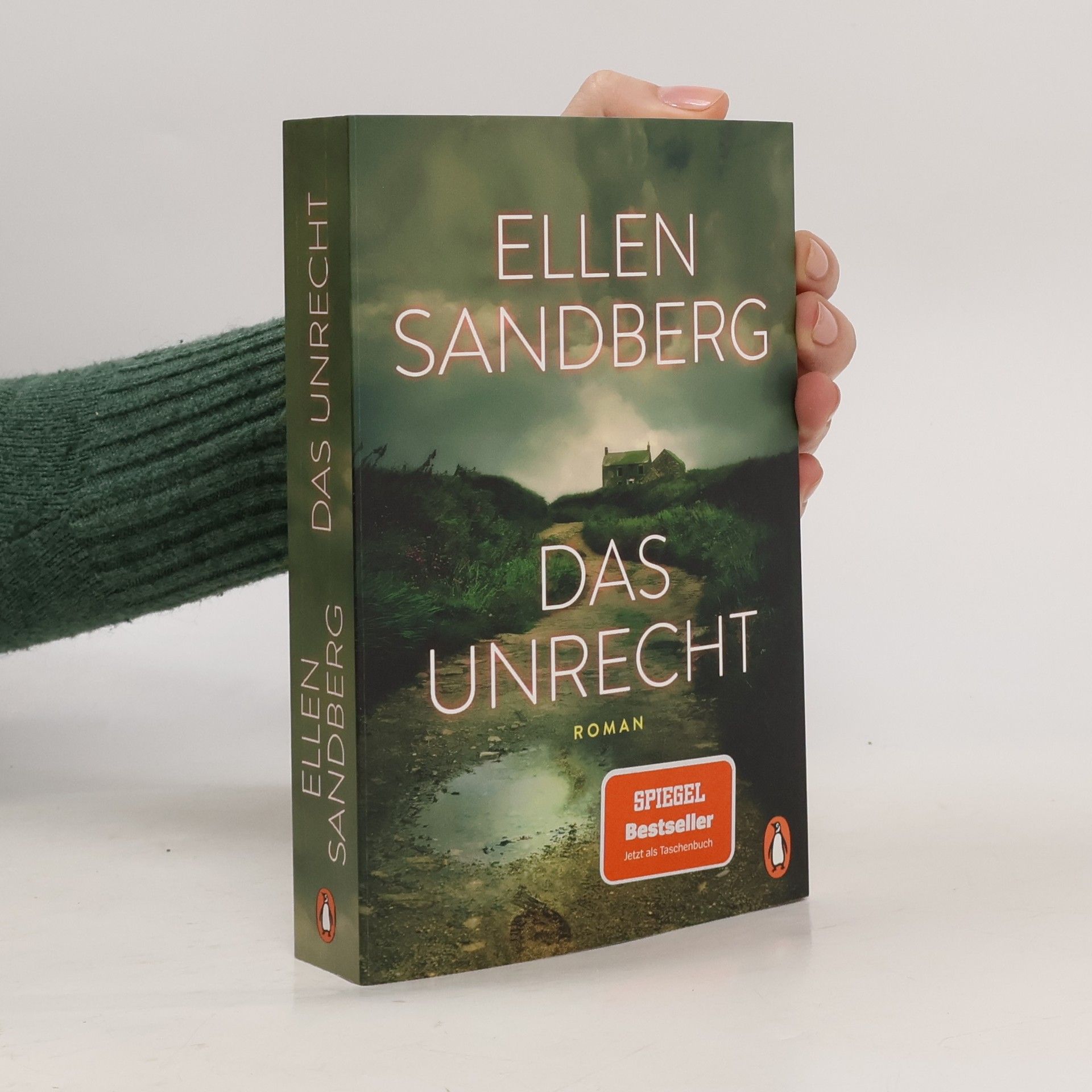 Ellen Sandberg Das Unrecht